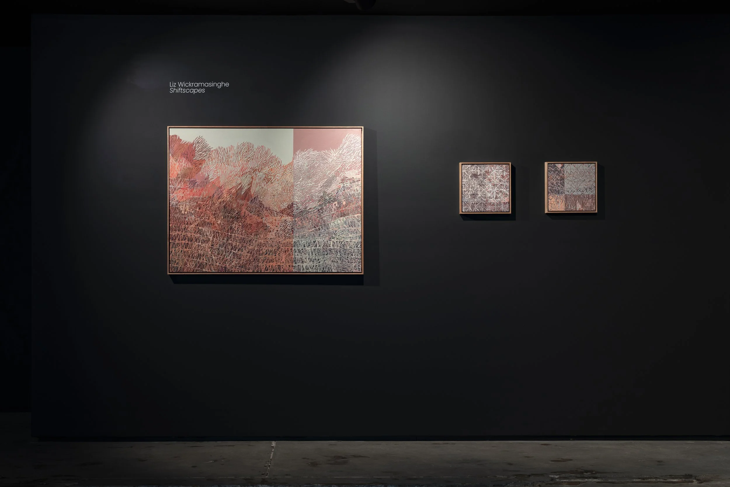 2025-Liz Wickramasinghe-INSTALL-2500PX-2.jpg