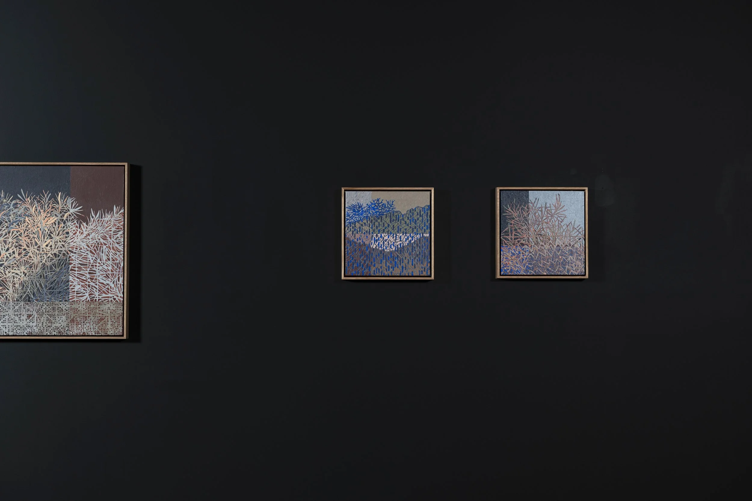 2025-Liz Wickramasinghe-INSTALL-2500PX-6.jpg