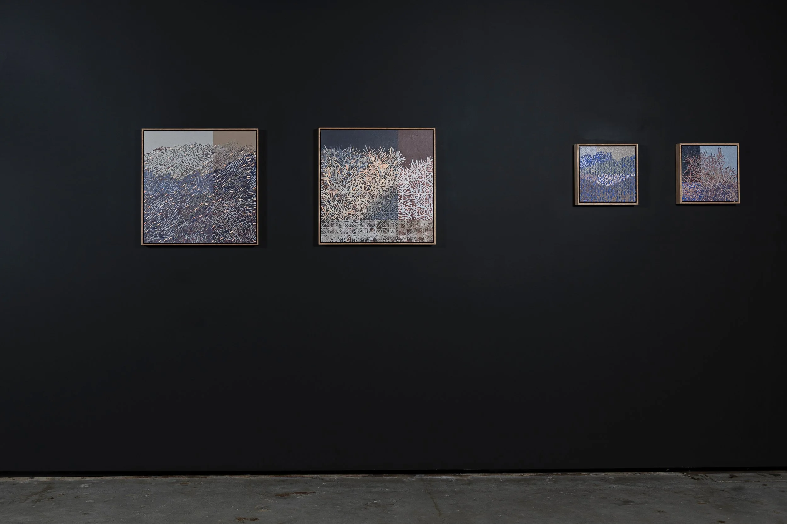 2025-Liz Wickramasinghe-INSTALL-2500PX-7.jpg