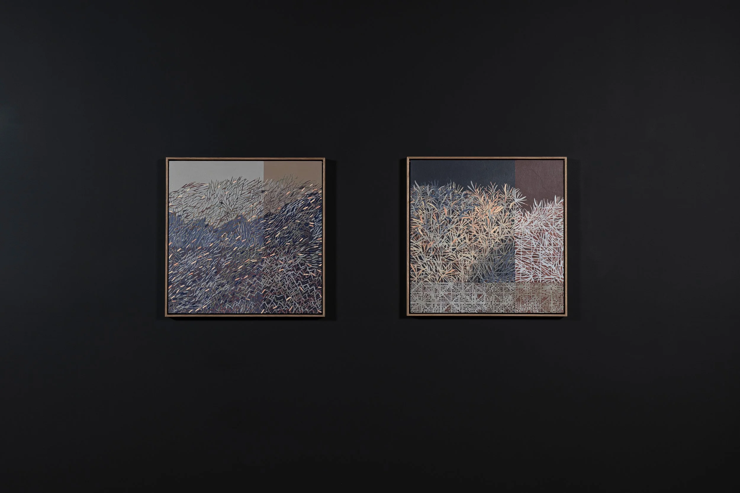 2025-Liz Wickramasinghe-INSTALL-2500PX-8.jpg