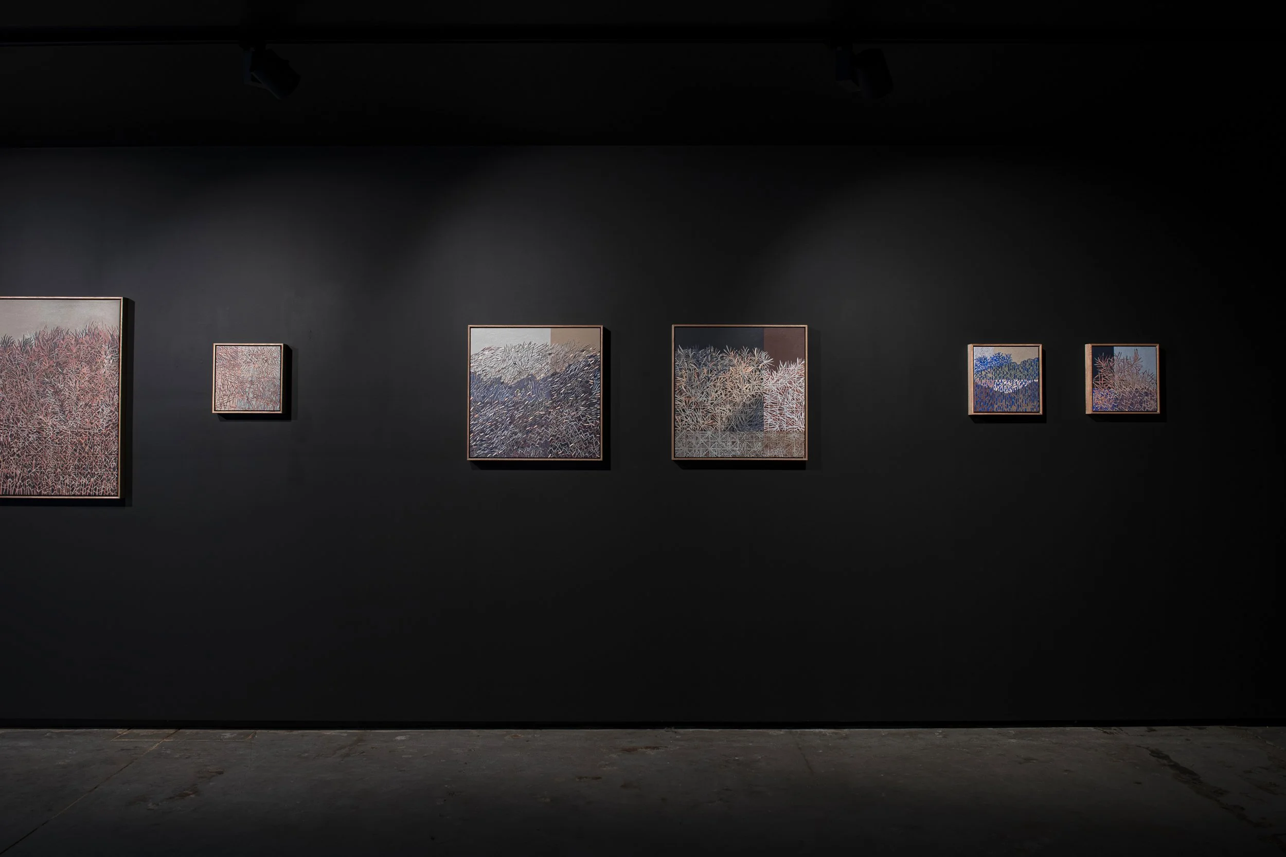 2025-Liz Wickramasinghe-INSTALL-2500PX-9.jpg