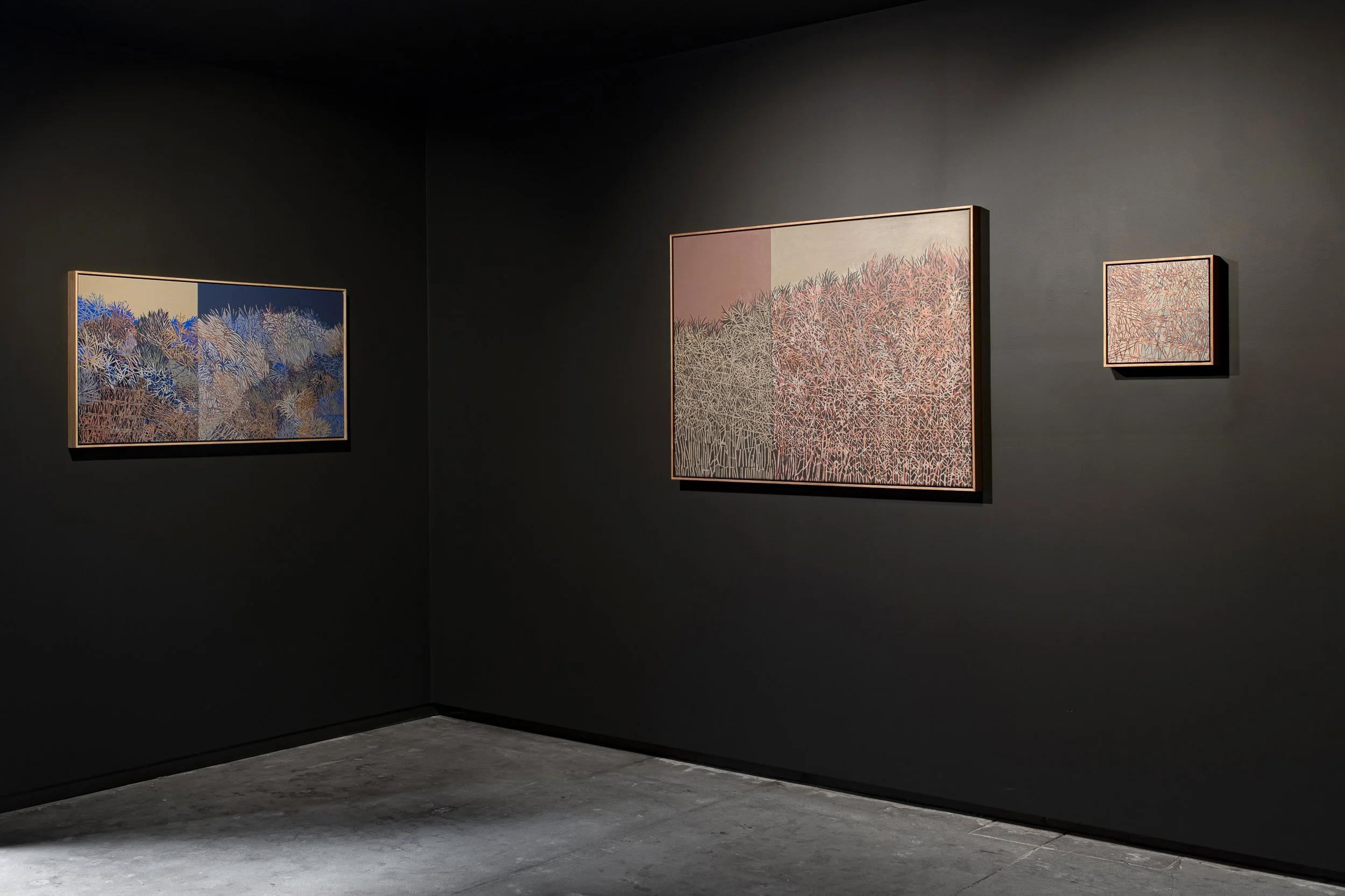 2025-Liz Wickramasinghe-INSTALL-2500PX-10.jpg