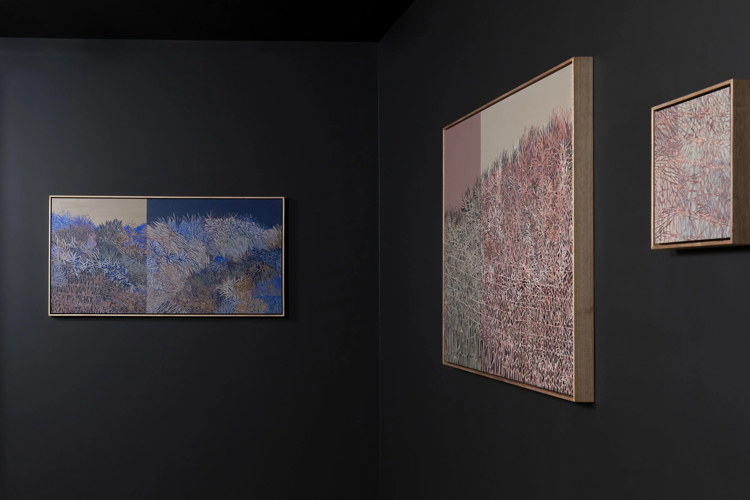 2025-Liz Wickramasinghe-INSTALL-2500PX-12.jpg