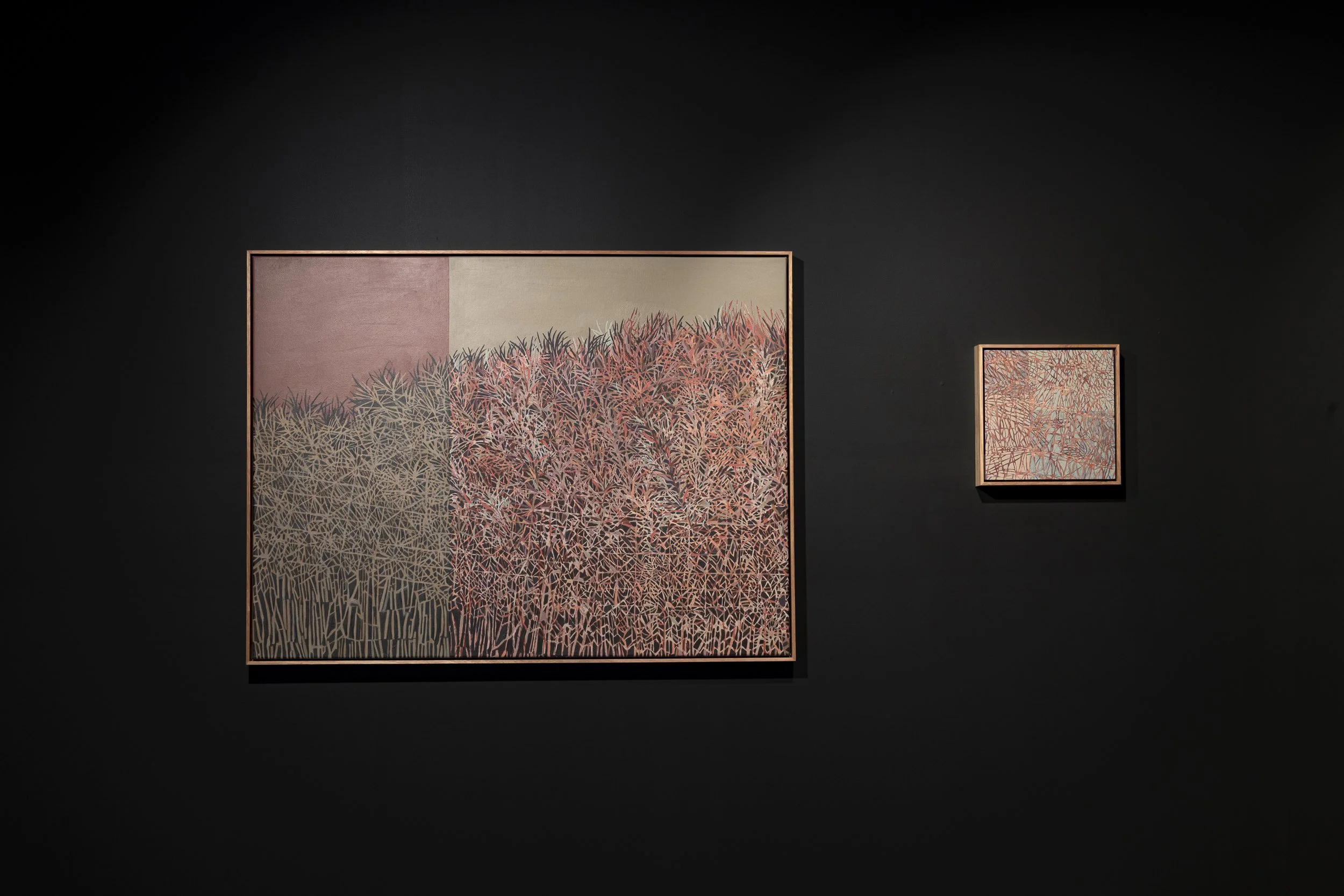 2025-Liz Wickramasinghe-INSTALL-2500PX-14.jpg