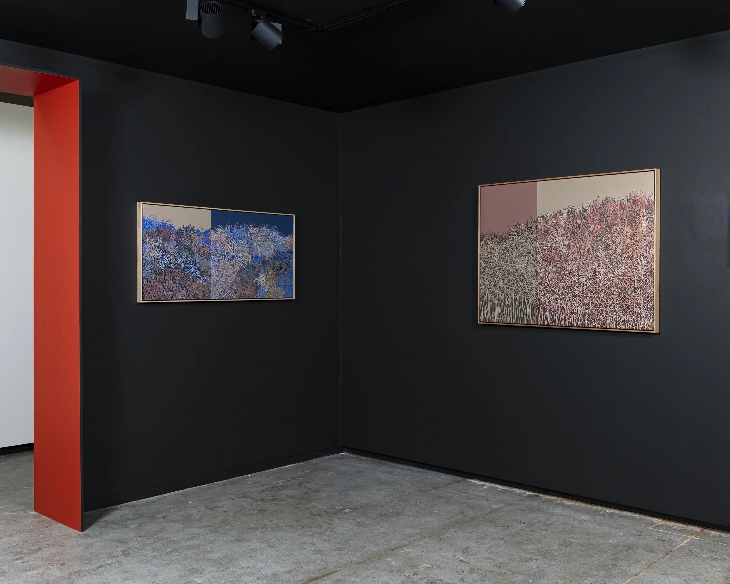 2025-Liz Wickramasinghe-INSTALL-2500PX-13.jpg