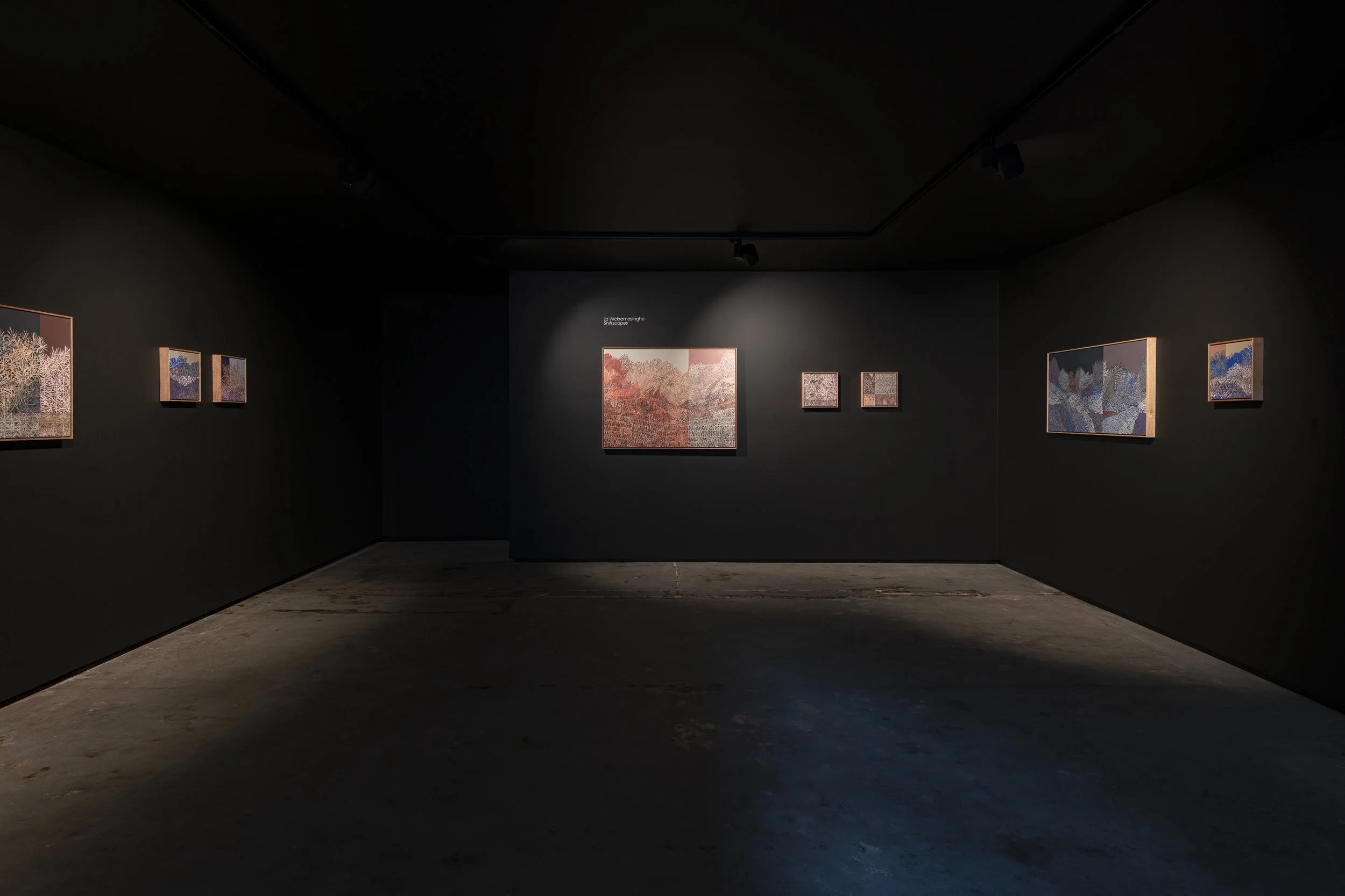 2025-Liz Wickramasinghe-INSTALL-2500PX-15.jpg