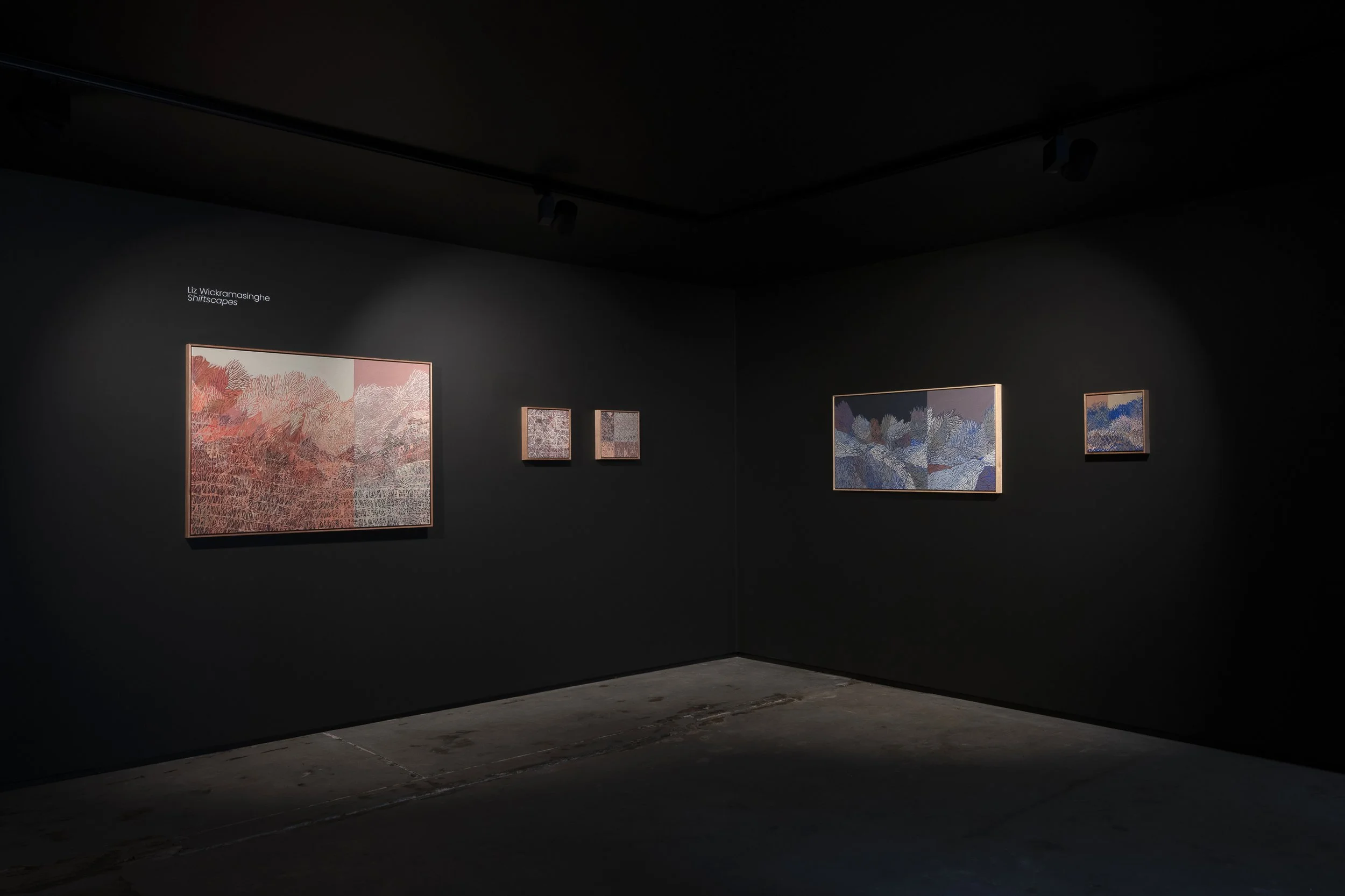 2025-Liz Wickramasinghe-INSTALL-2500PX-16.jpg