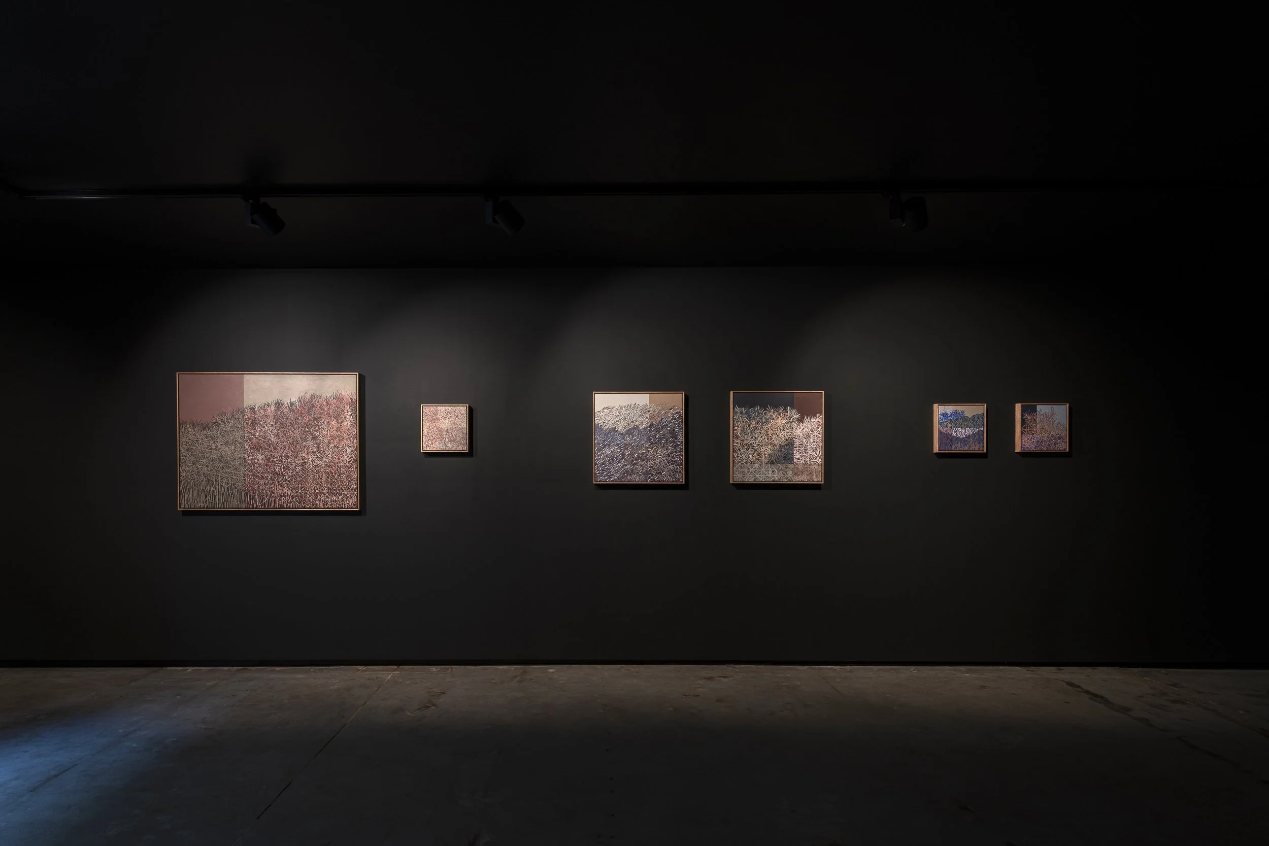 2025-Liz Wickramasinghe-INSTALL-2500PX-17.jpg