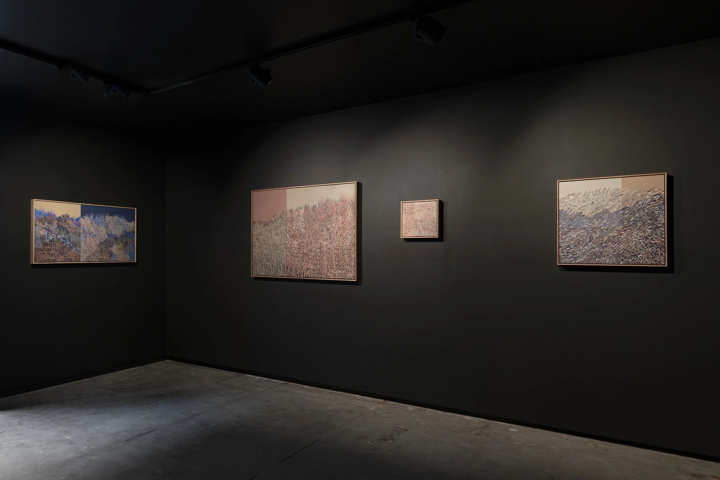 2025-Liz Wickramasinghe-INSTALL-2500PX-18.jpg