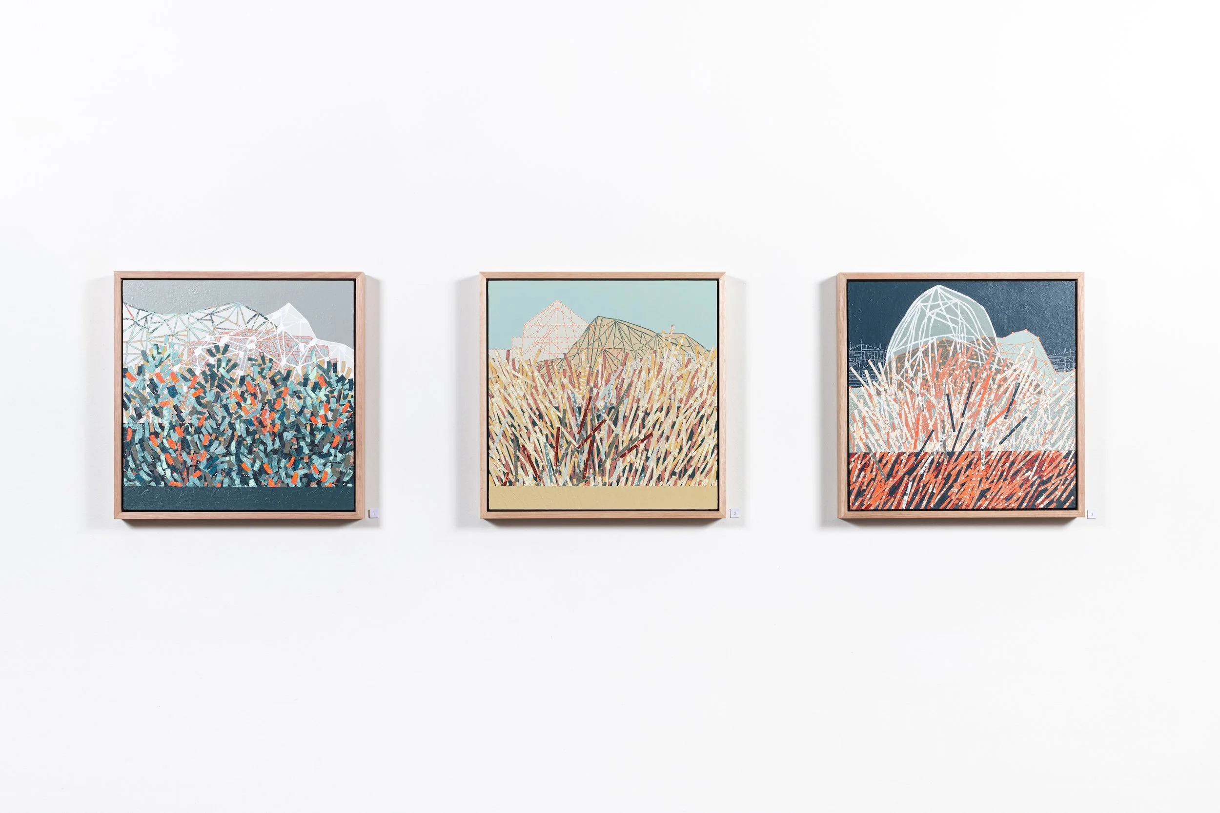 Marshland Rise_install_01_Liz Wickramasinghe.jpg