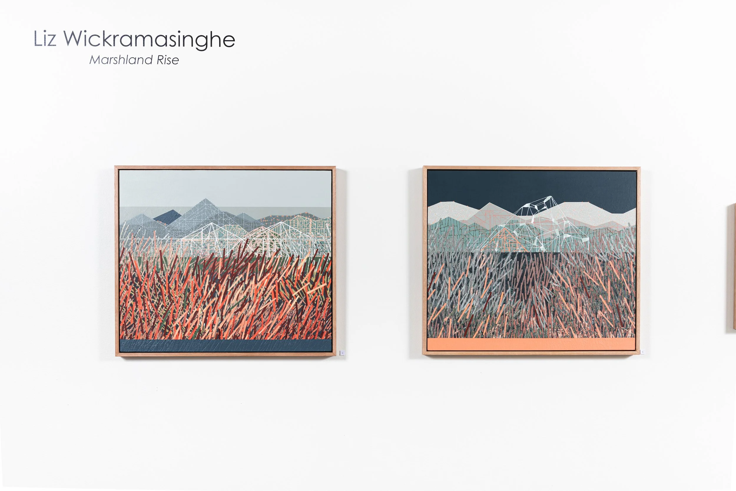 Marshland Rise_install_03_Liz Wickramasinghe.jpg