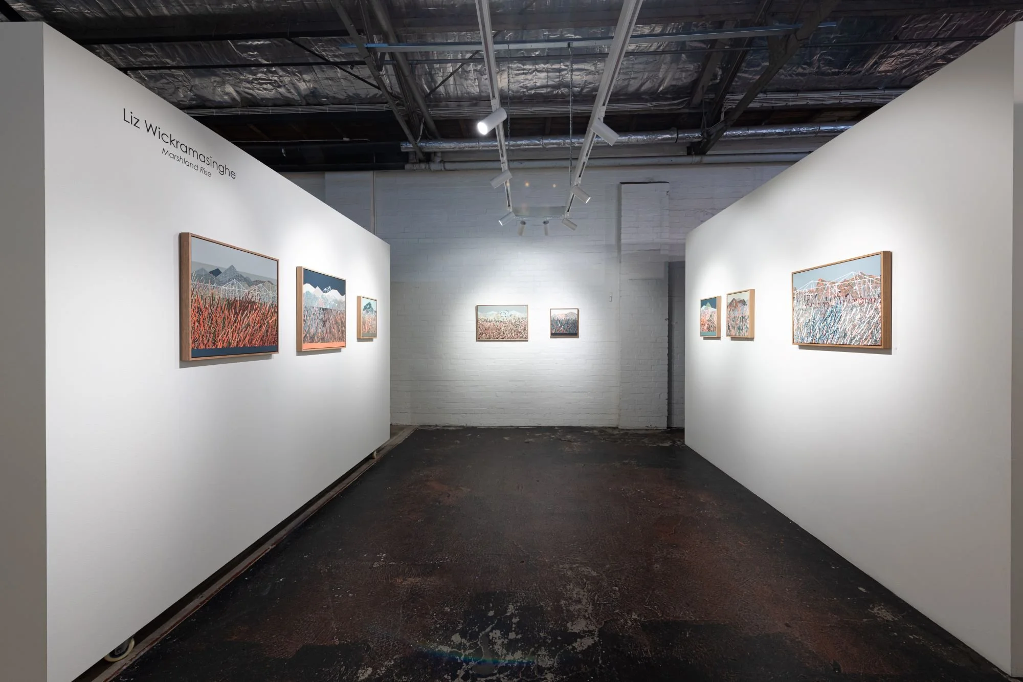 Marshland Rise_install_10_Liz Wickramasinghe.jpg