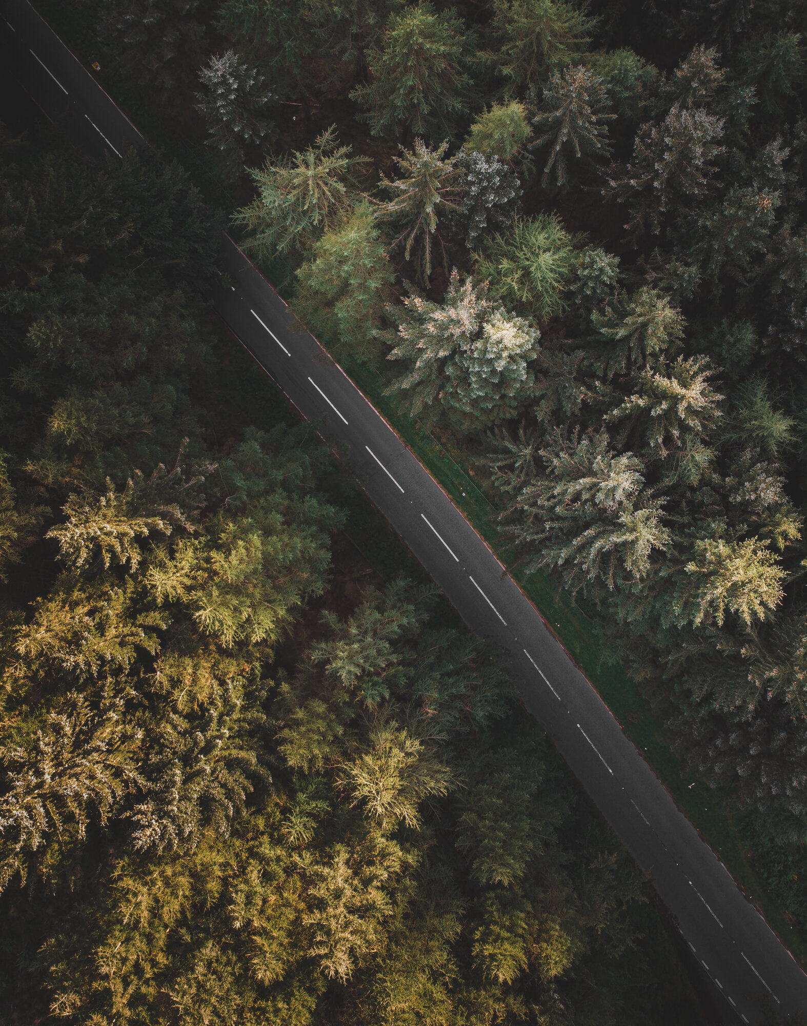 DJI_0097.jpeg
