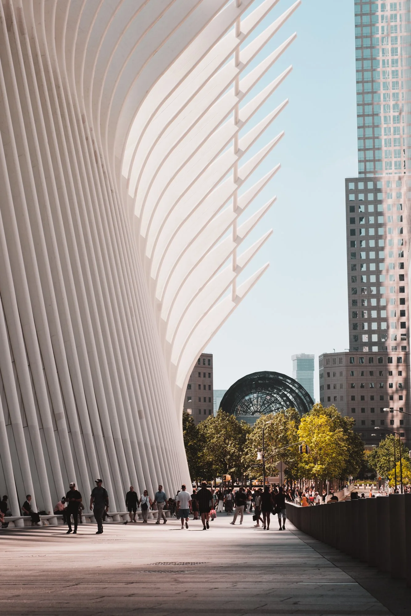 IPSmith-NYC-Web-17.jpg