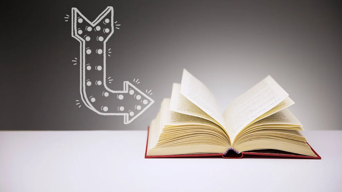 Roman: Glimlach van een haai