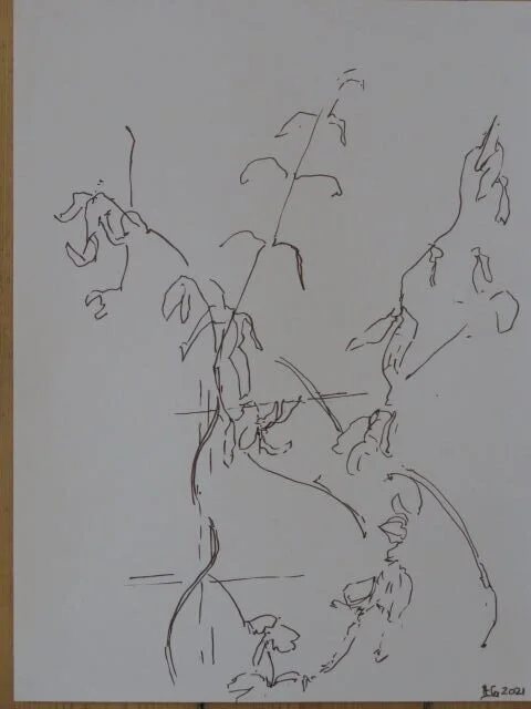 Jasmine creeper_v1.JPG