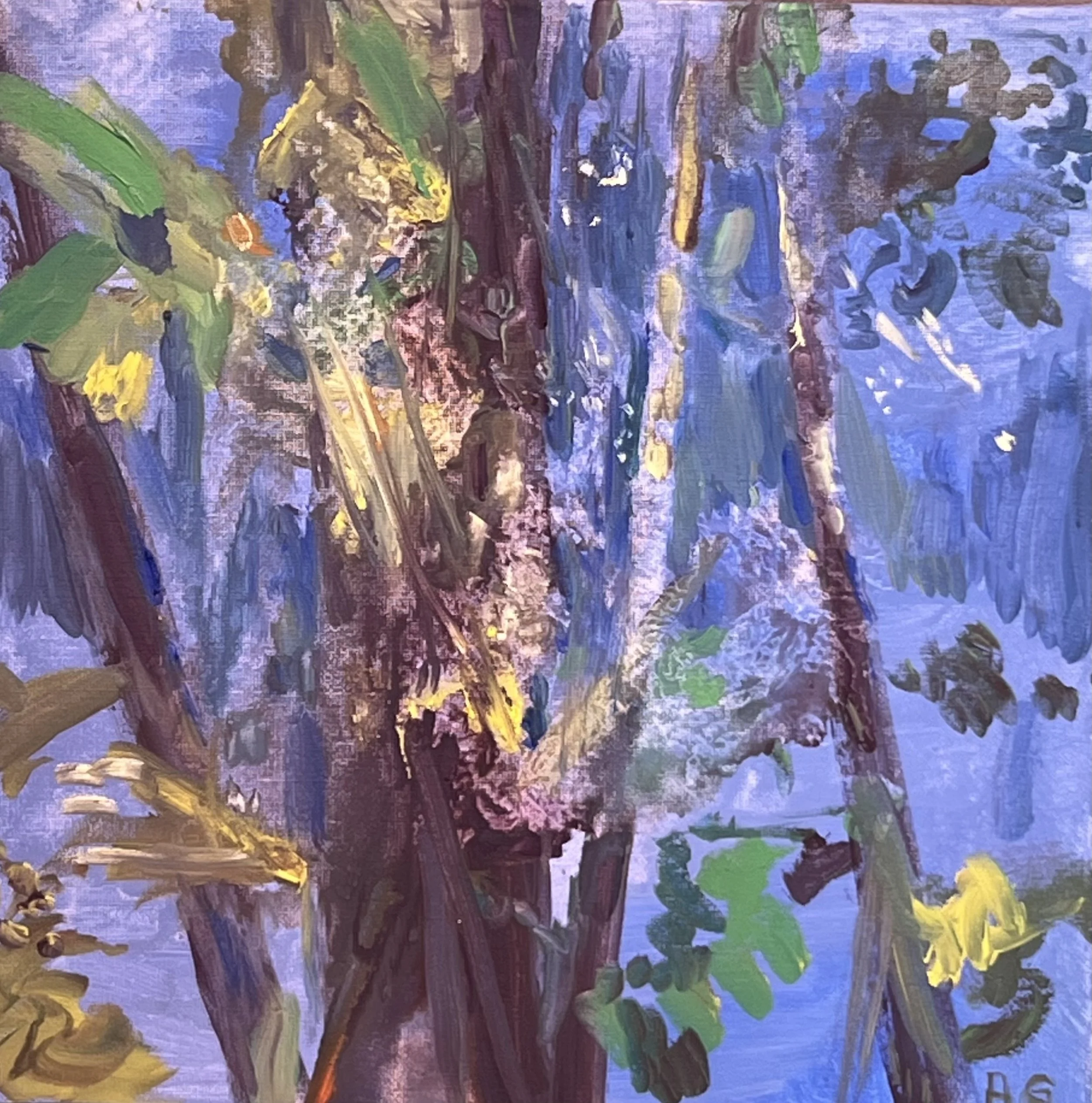 HELEN'S GARDEN 1 IMG-1653.jpg