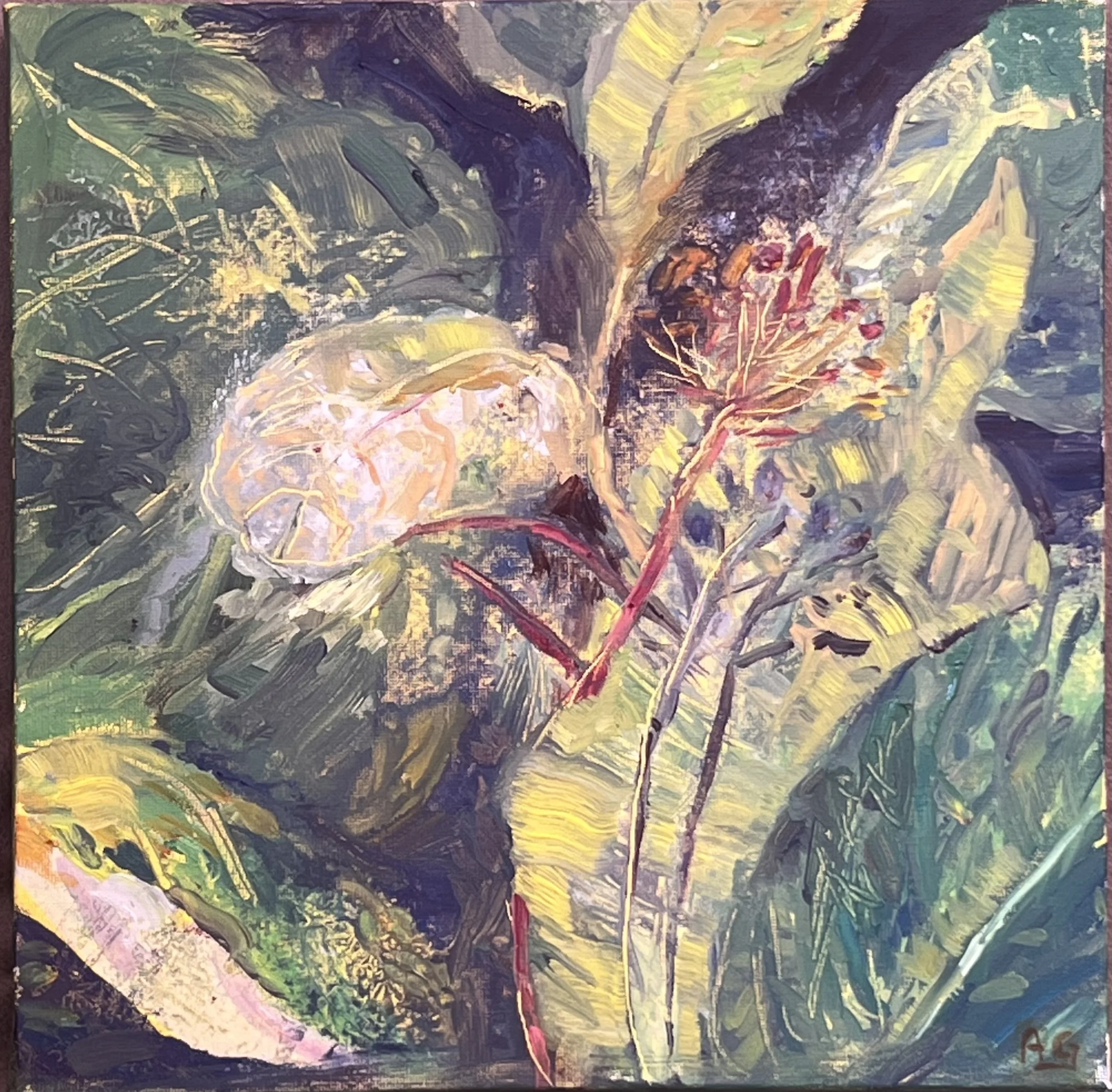 HELEN'S GARDEN 4 IMG-1656.jpg