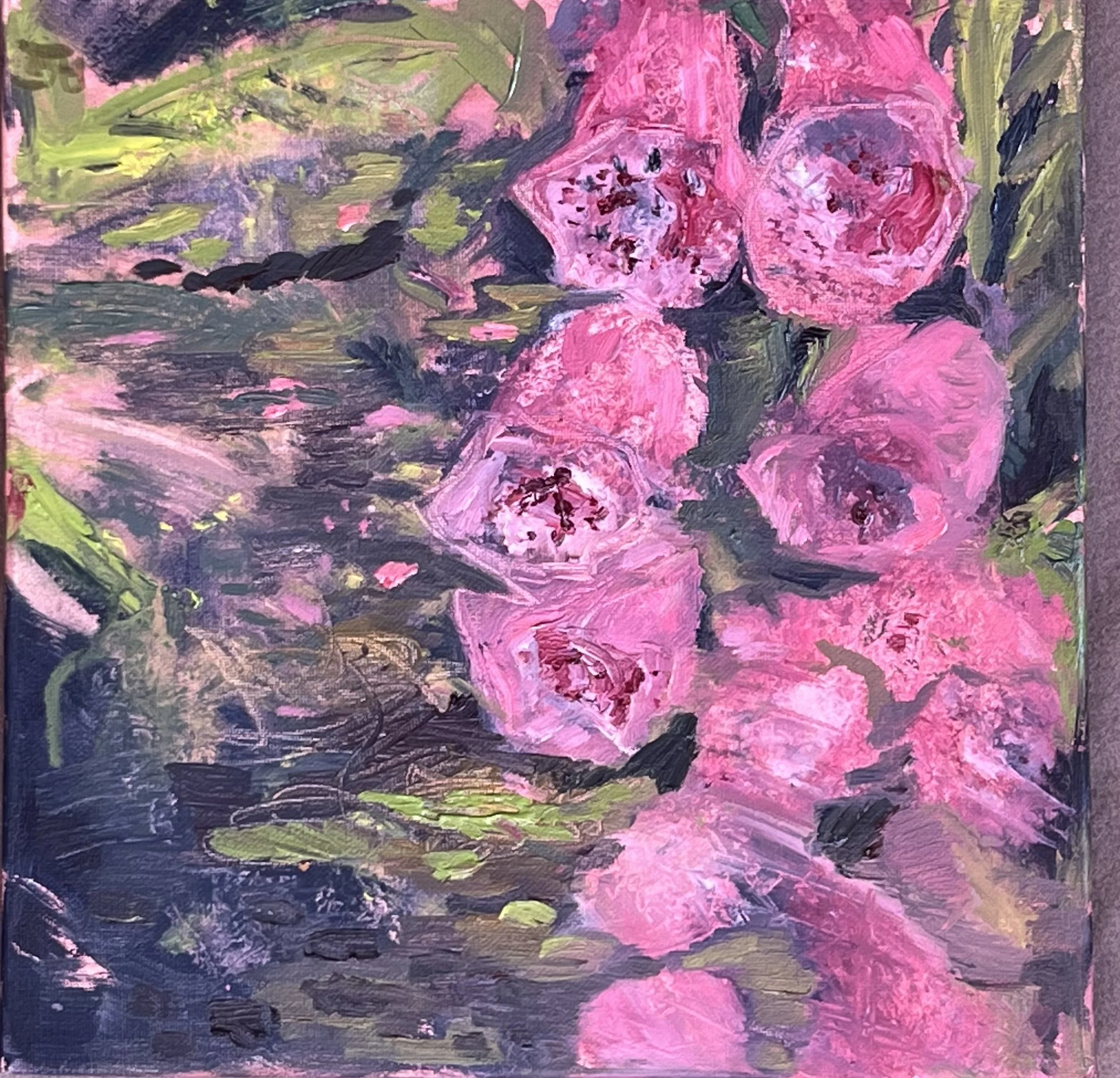 HELEN'S GARDEN 5 IMG-1657.jpg