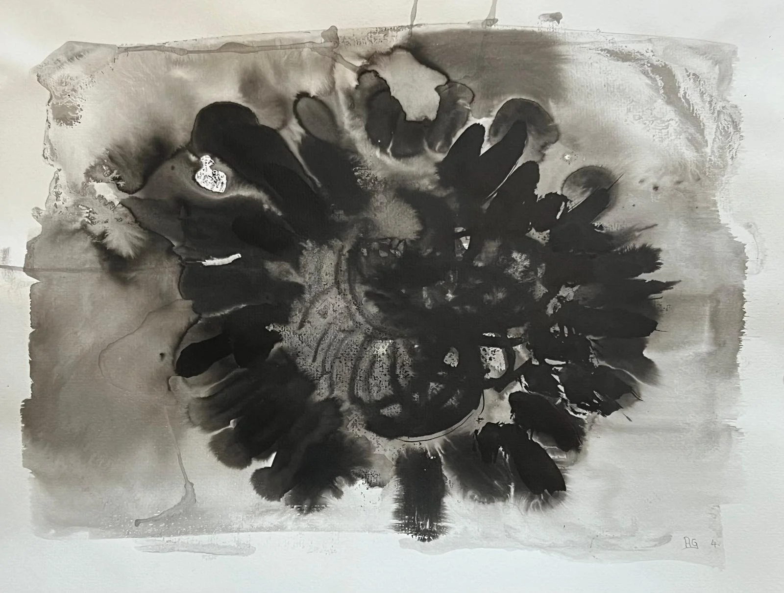 BLACK SUNFLOWER 2 PHOTO-2025-01-13-09-44-02 (2).jpg