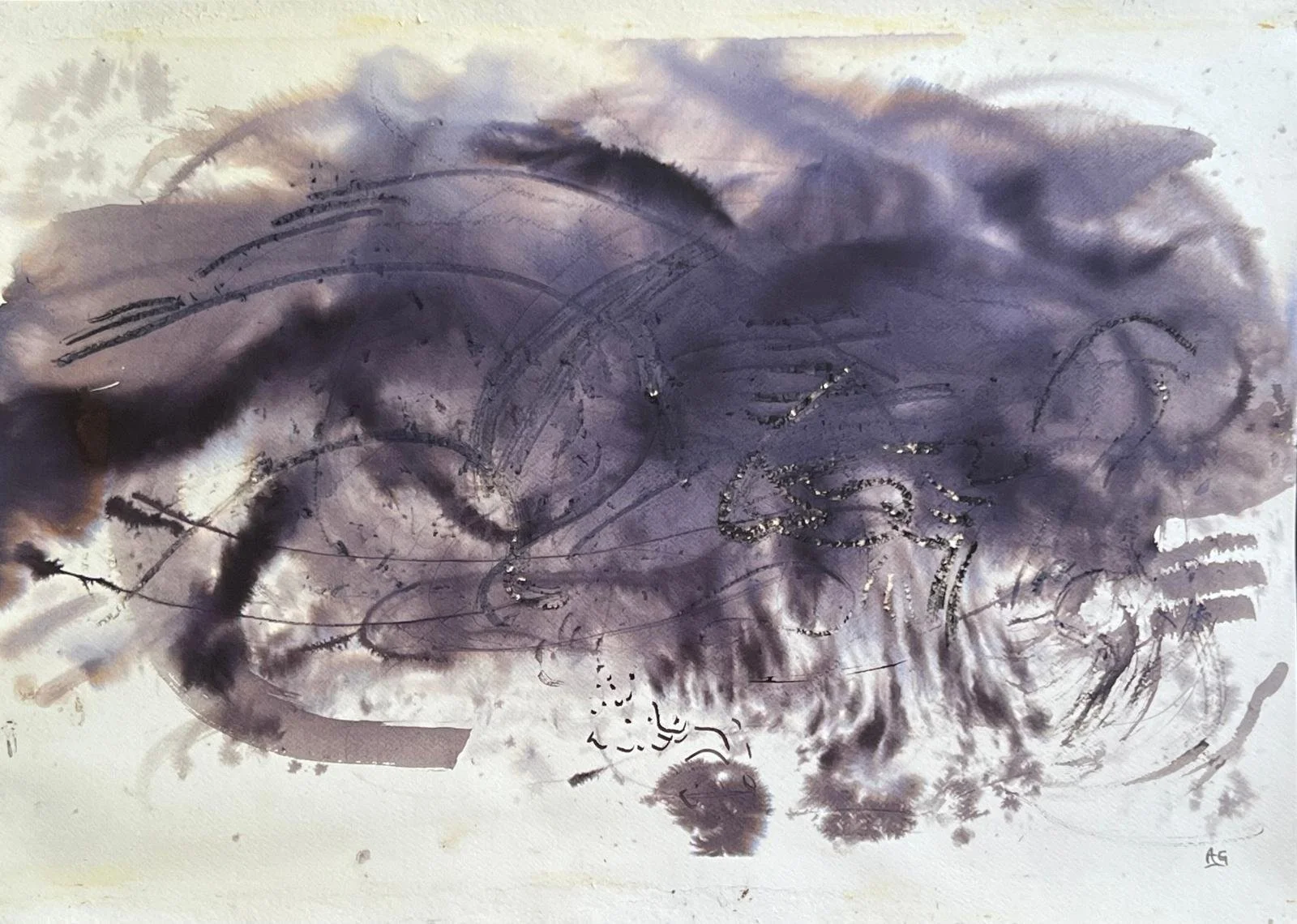 PROTEAS ON THE PATHWAY  (2).jpg