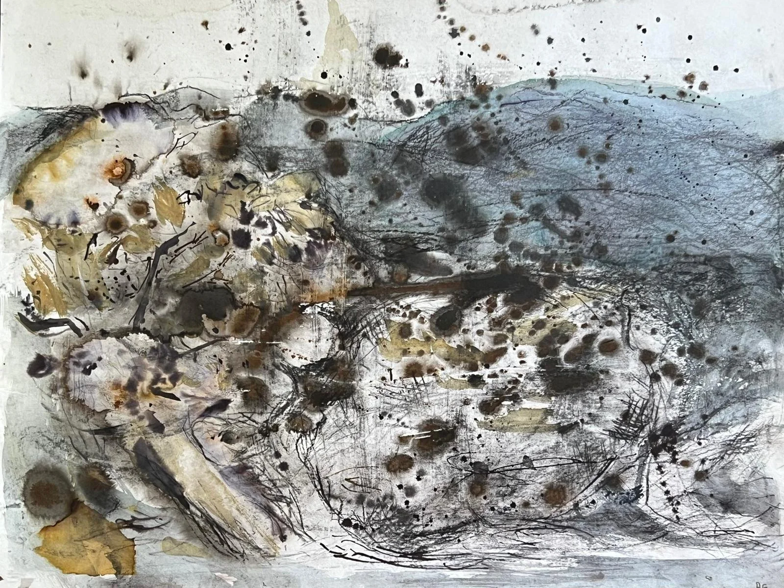 PROTEAS ON THE PATHWAY  (3).jpg