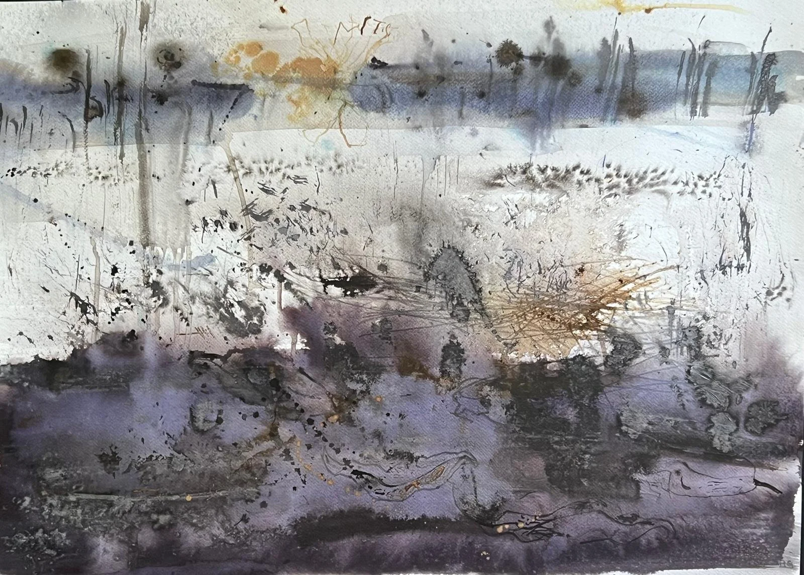 PROTEAS ON THE PATHWAY  (4).jpg