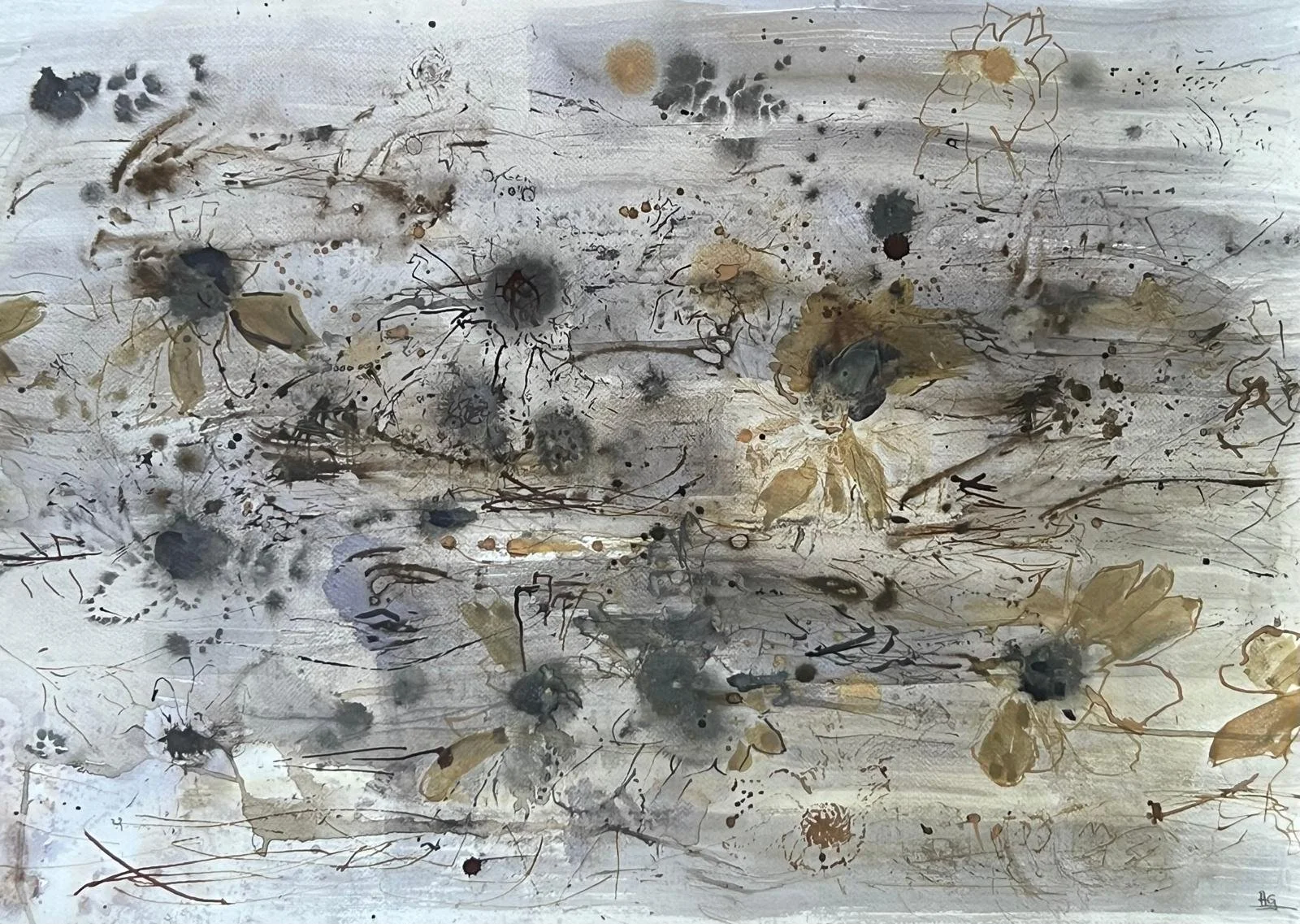 PROTEAS ON THE PATHWAY  (5).jpg