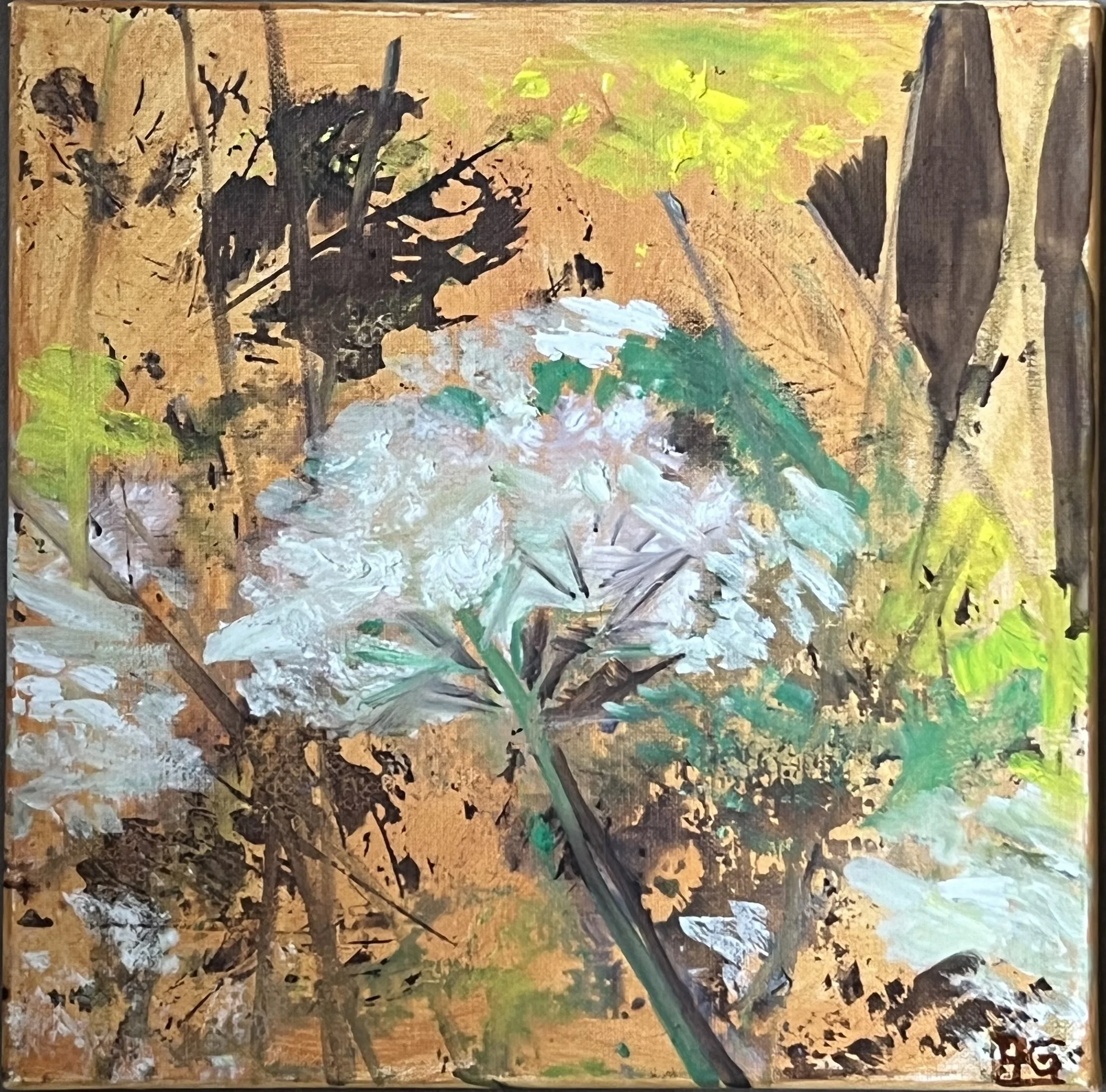 Oils on canvas. A set of 9 paintings. 30cm by 30cm. July and August 2024.  These small paintings explore aspects of my summer garden