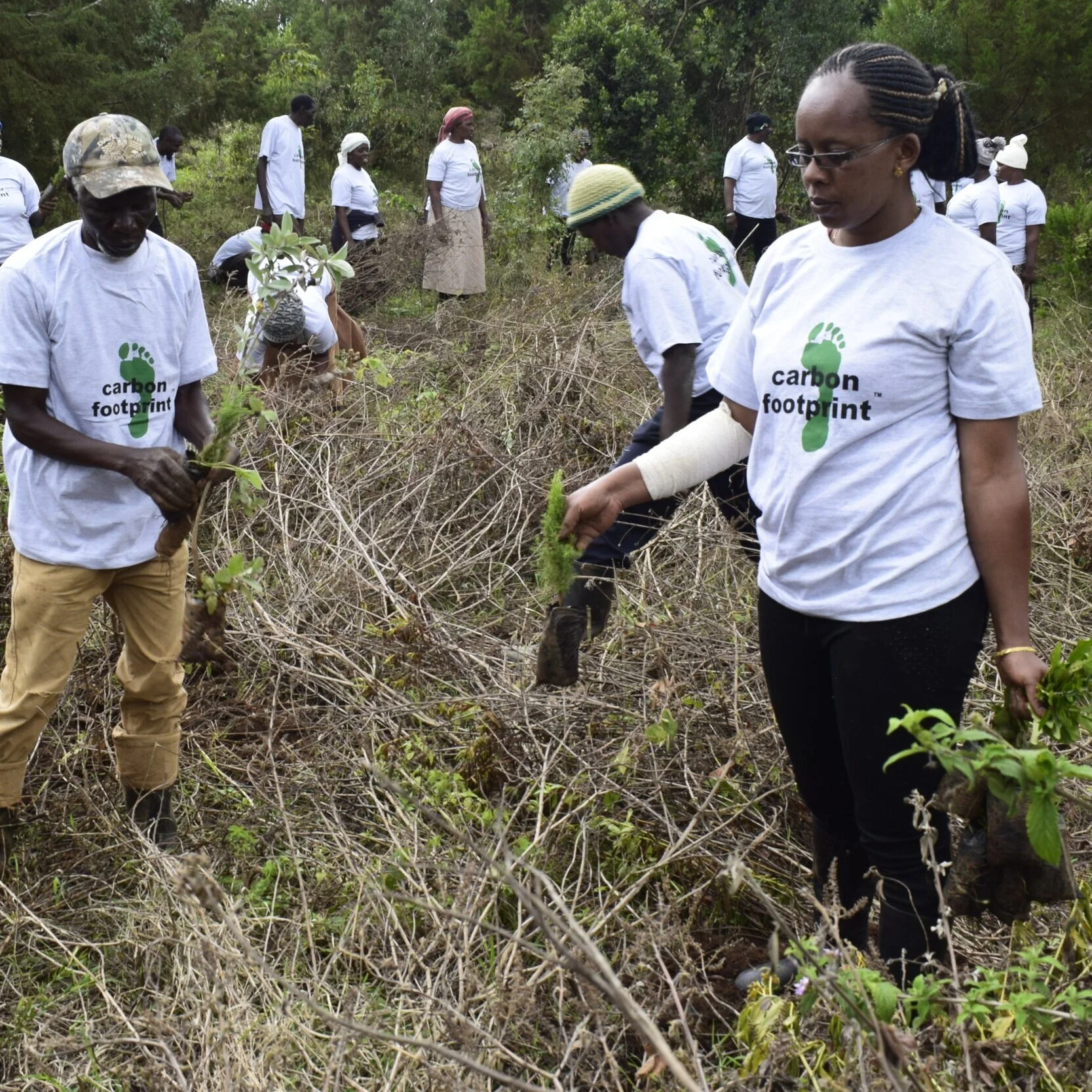 Offsetting environmental impact