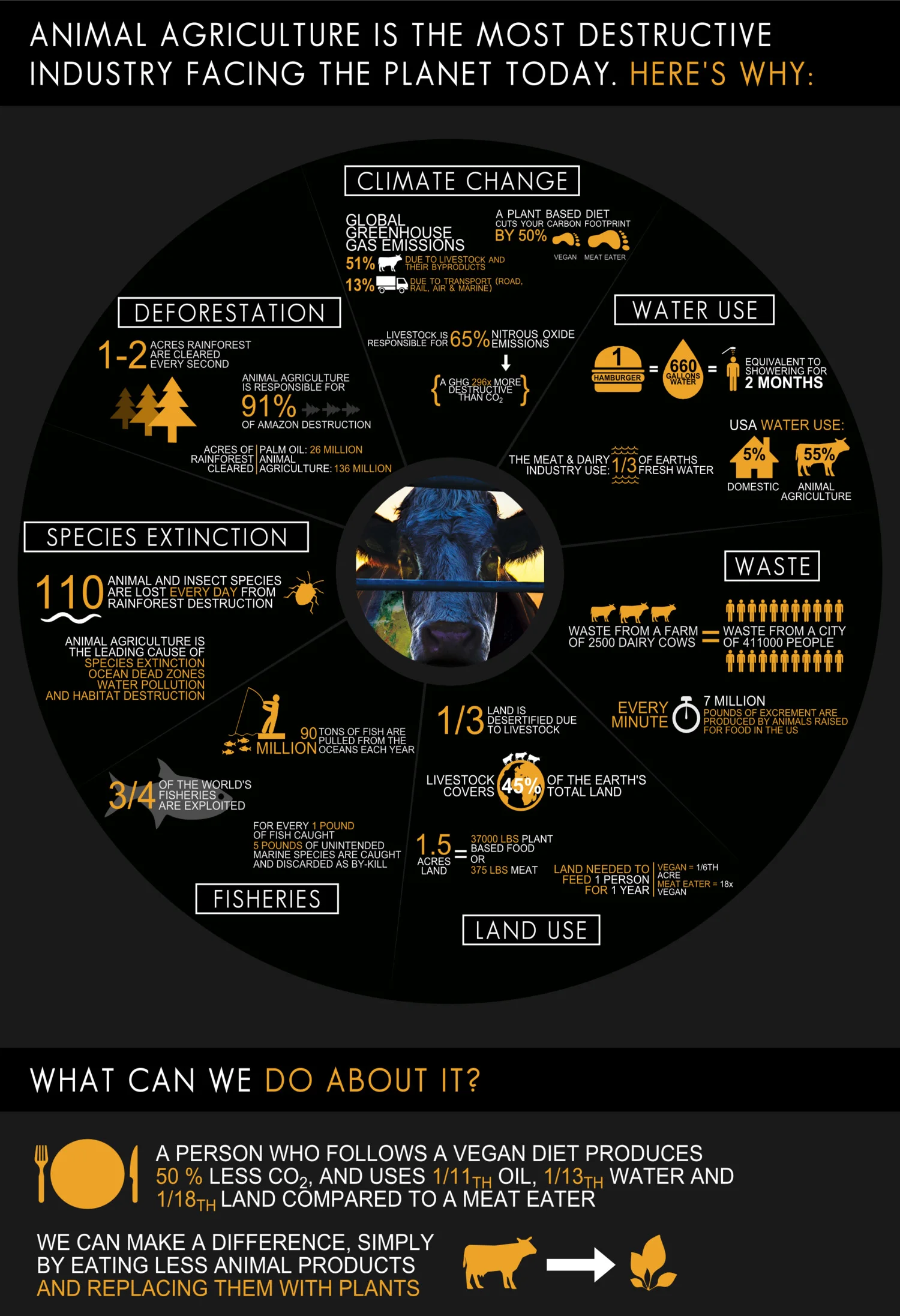 Source: Cowspiracy