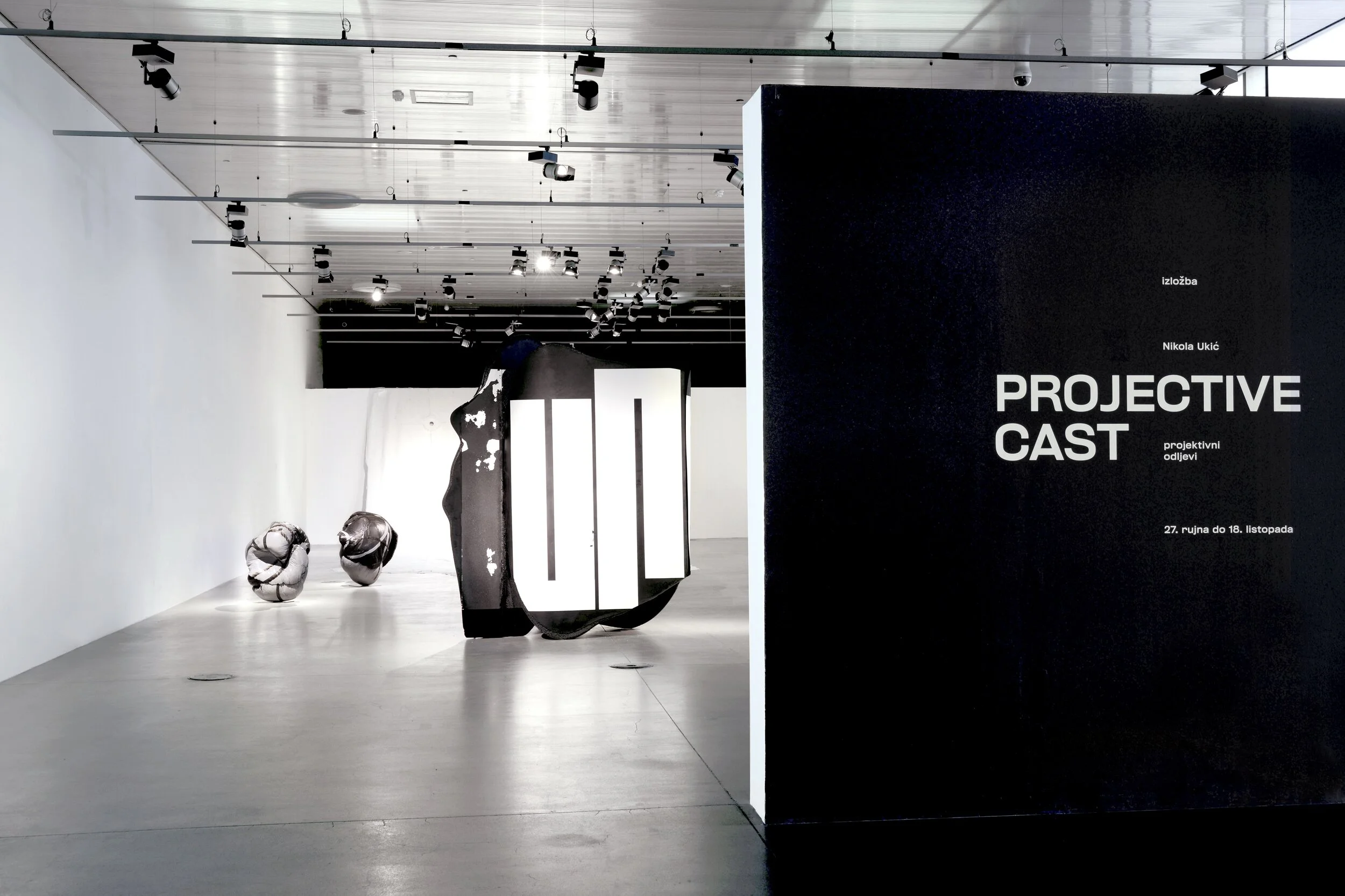 nikola-ukic-projective-cast-installation-view-1.jpg