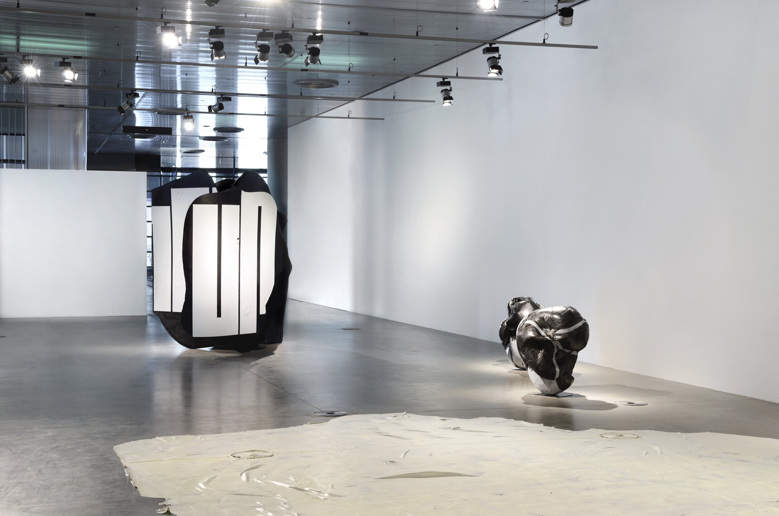 nikola-ukic-projective-cast-installation-view-10.jpg