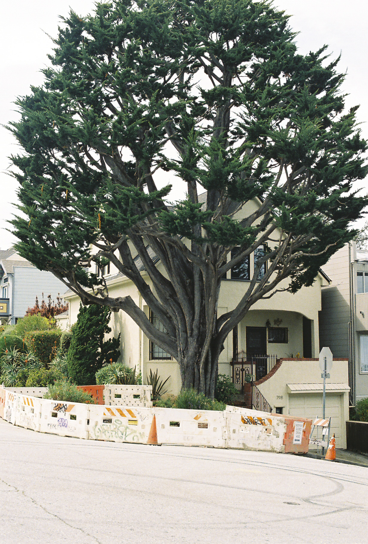 Dolores Heights, San Francisco, CA