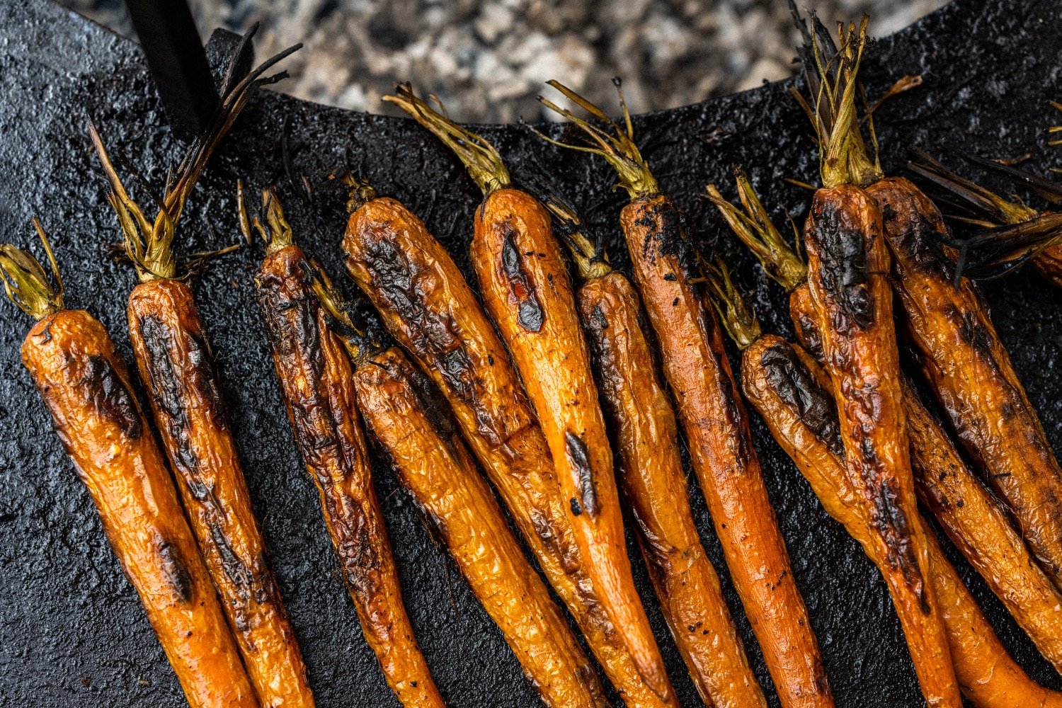 carrots_bbq_HighGrangeDevon_MattAustin-125.jpeg