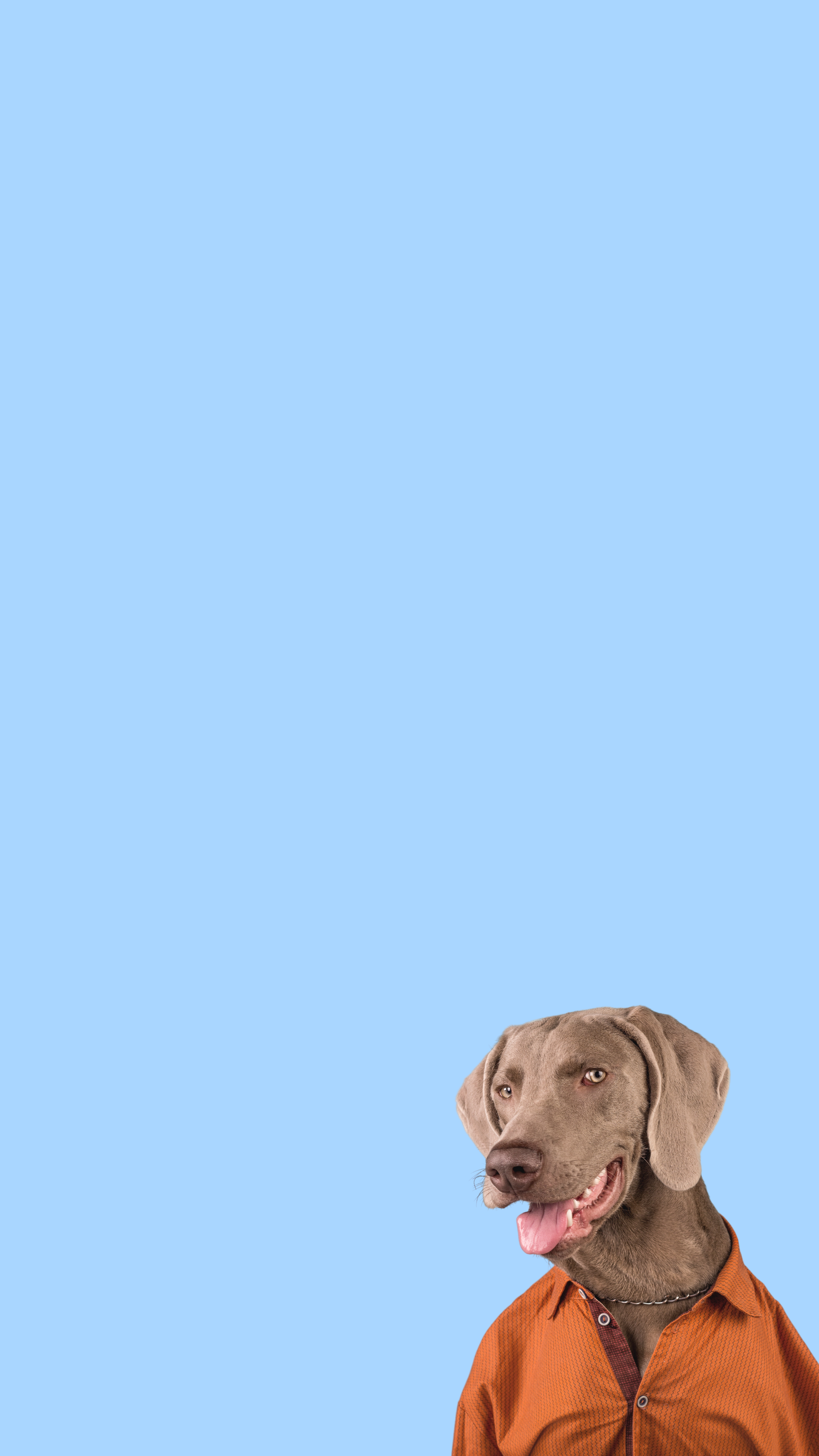 Untitled design (62).png