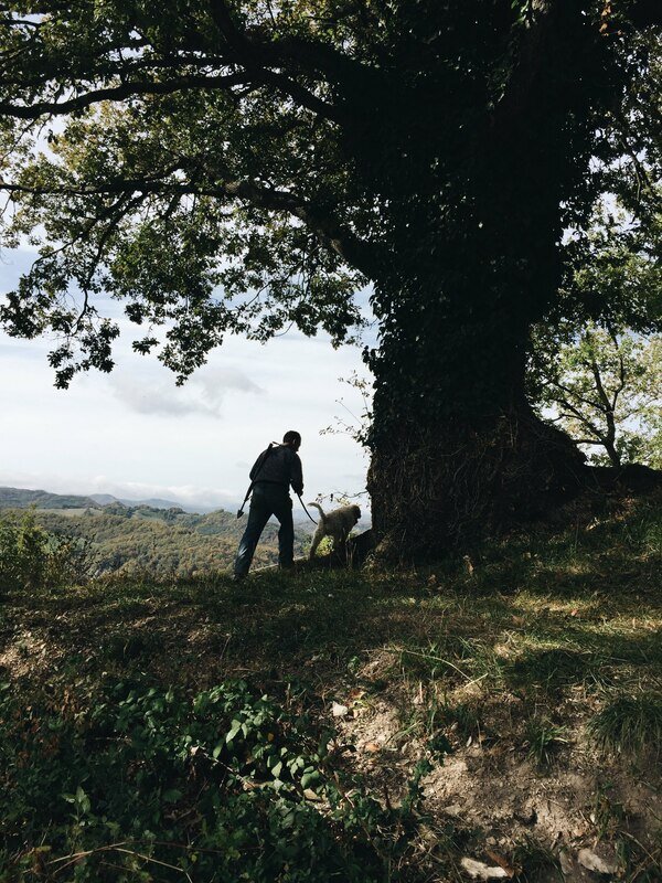 truffle hunting.jpg