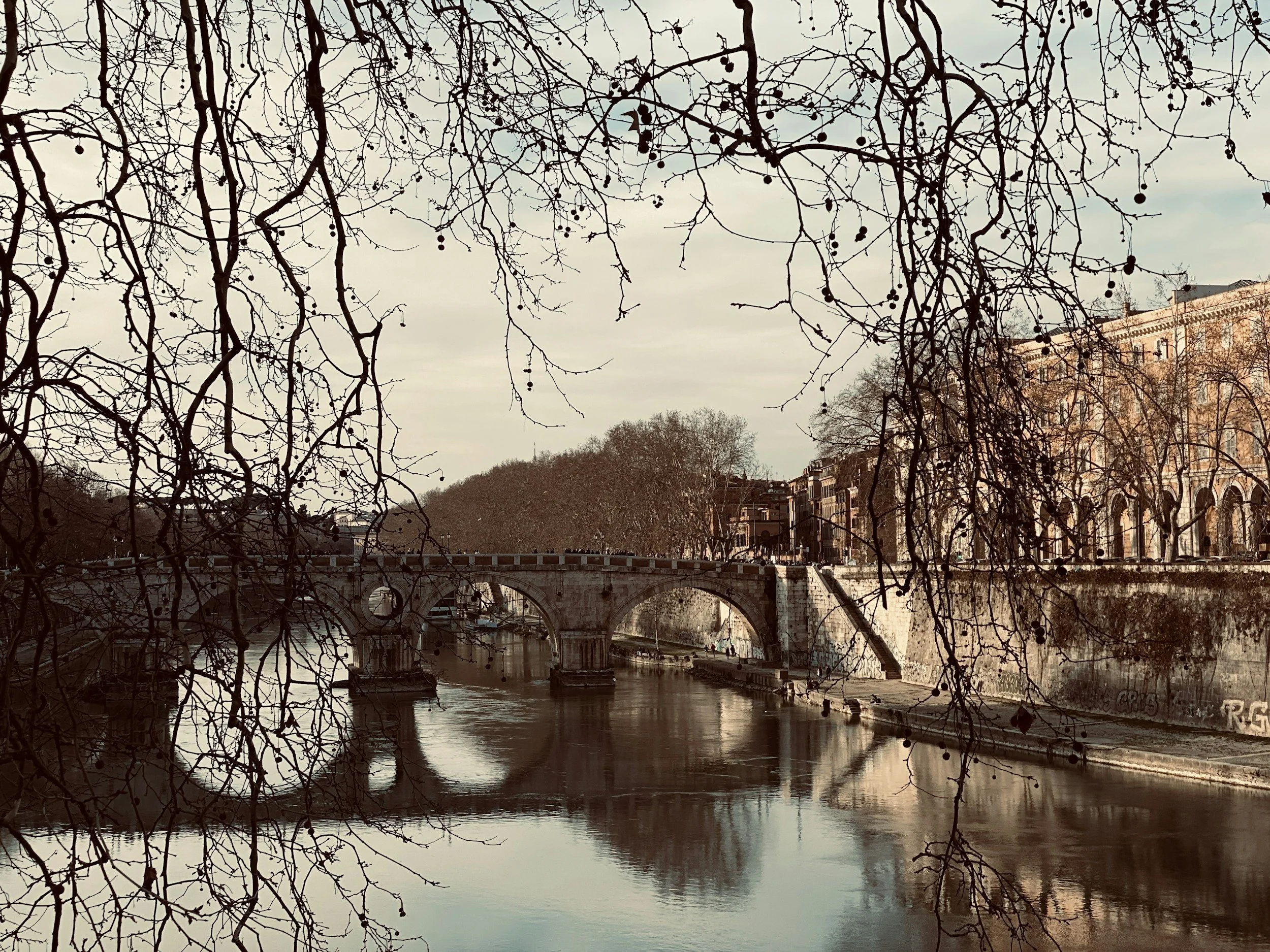 Exploring Culinary Delights: 10 Authentic and Traditional Restaurants in Downtown Rome