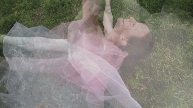 crop-2.gif