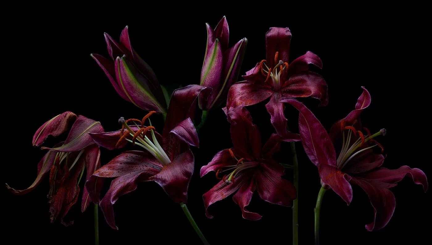 lillies ondrea barbe.jpg