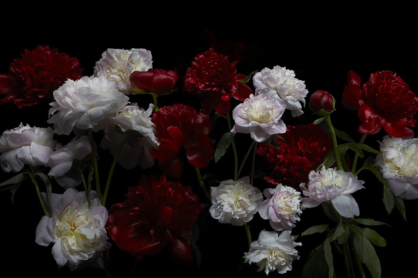 reunion peony bouquet ondrea barbe.jpg