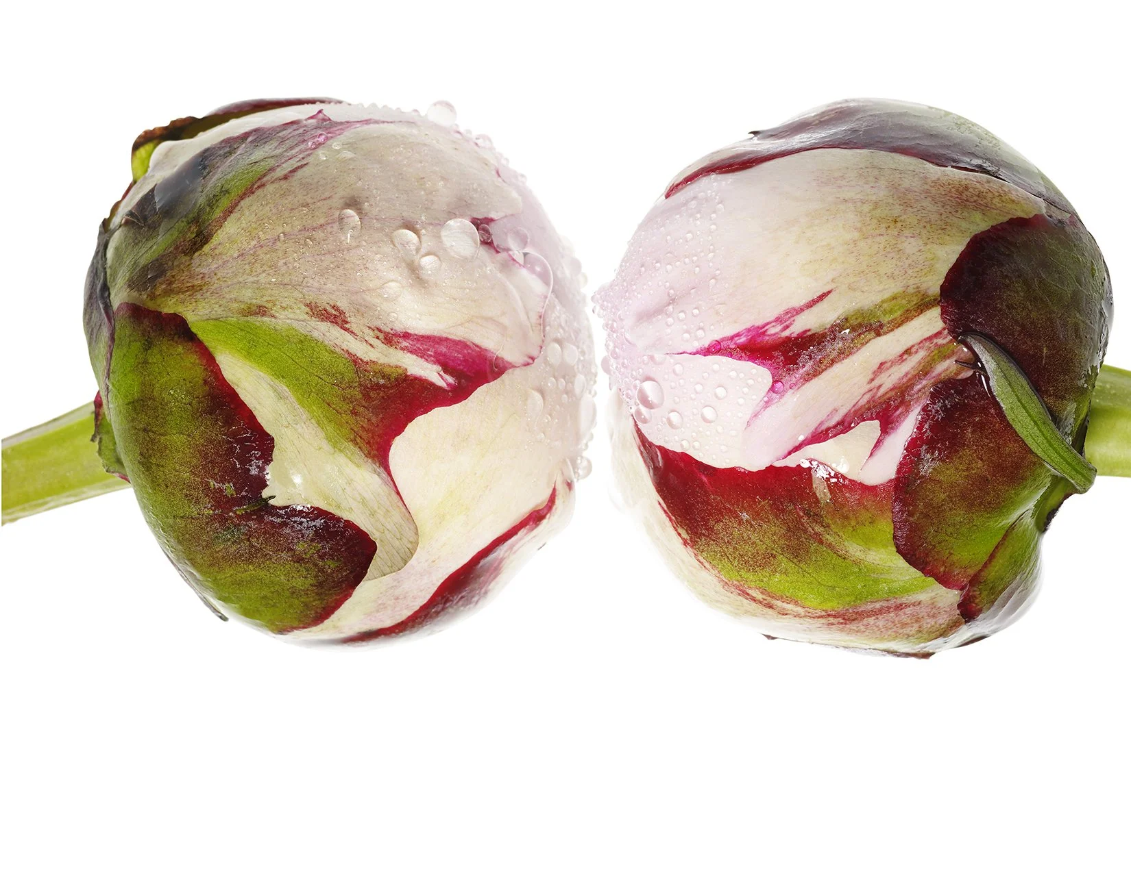 le baiser ondrea barbe.jpg