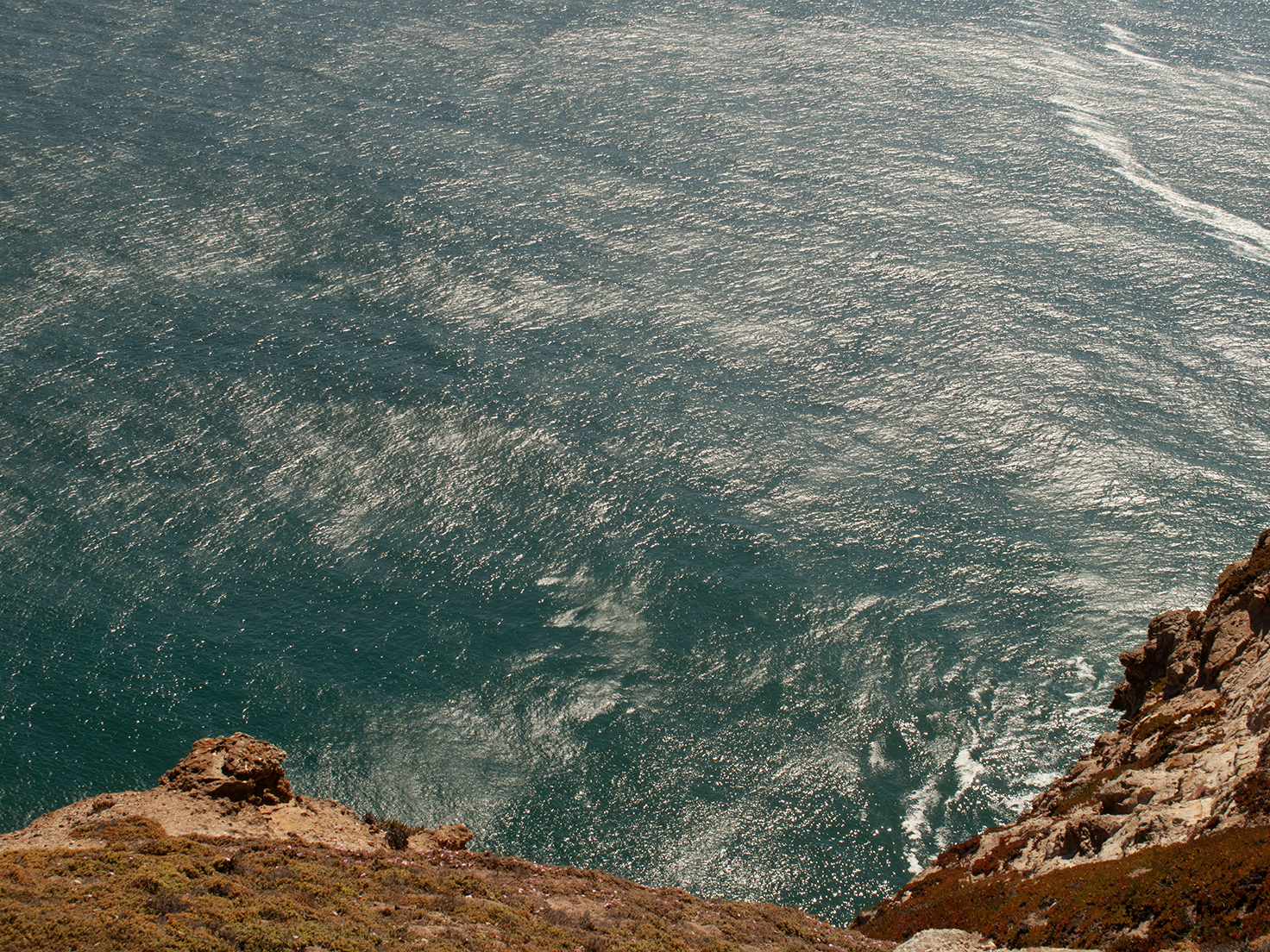 point reyes by ondreabarbe.png