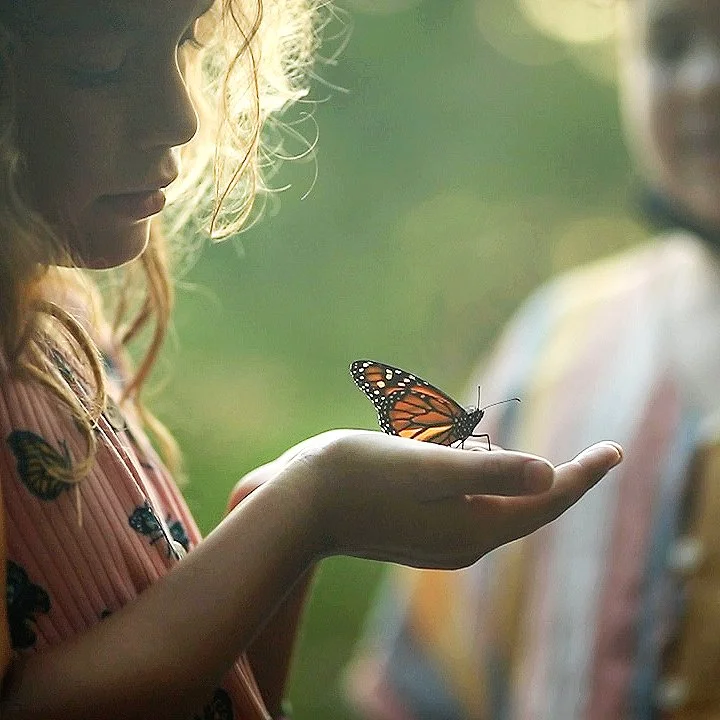 holding the butterflies.jpg