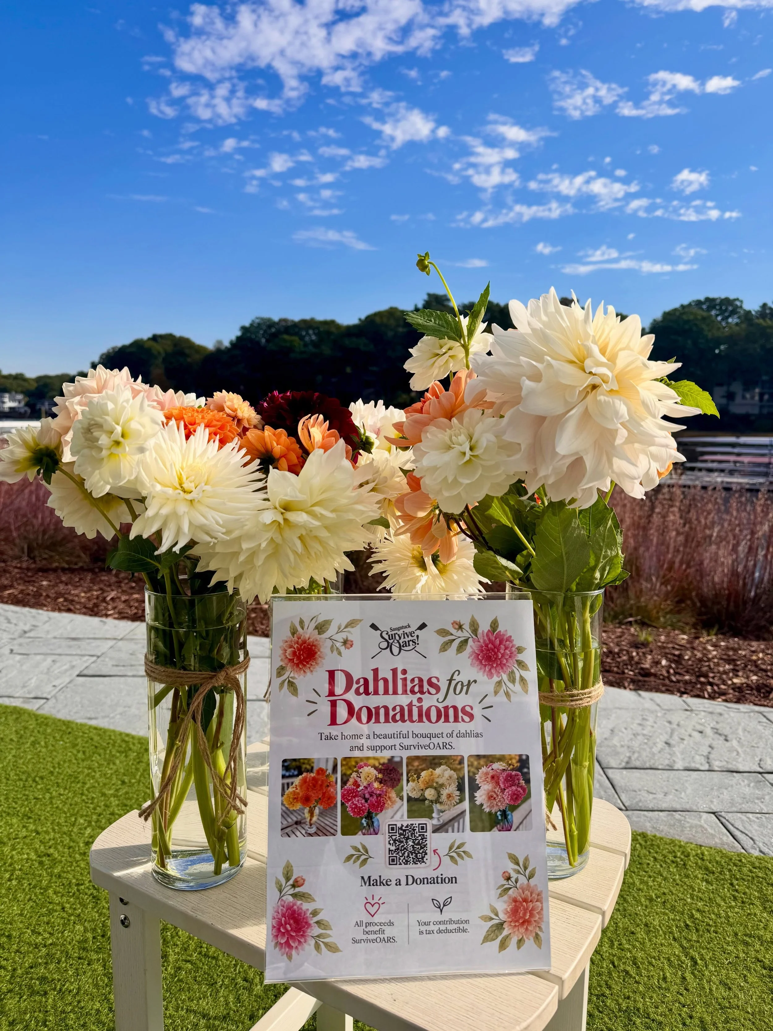 DAHLIAS FOR DONATIONS 🌺

One of the things I love most about Survive-OARS is the sisterhood &mdash; sharing their talents, strengths, and passions to support the program and each other.

Today I met @pamrouleau_ at the club with buckets of beautiful