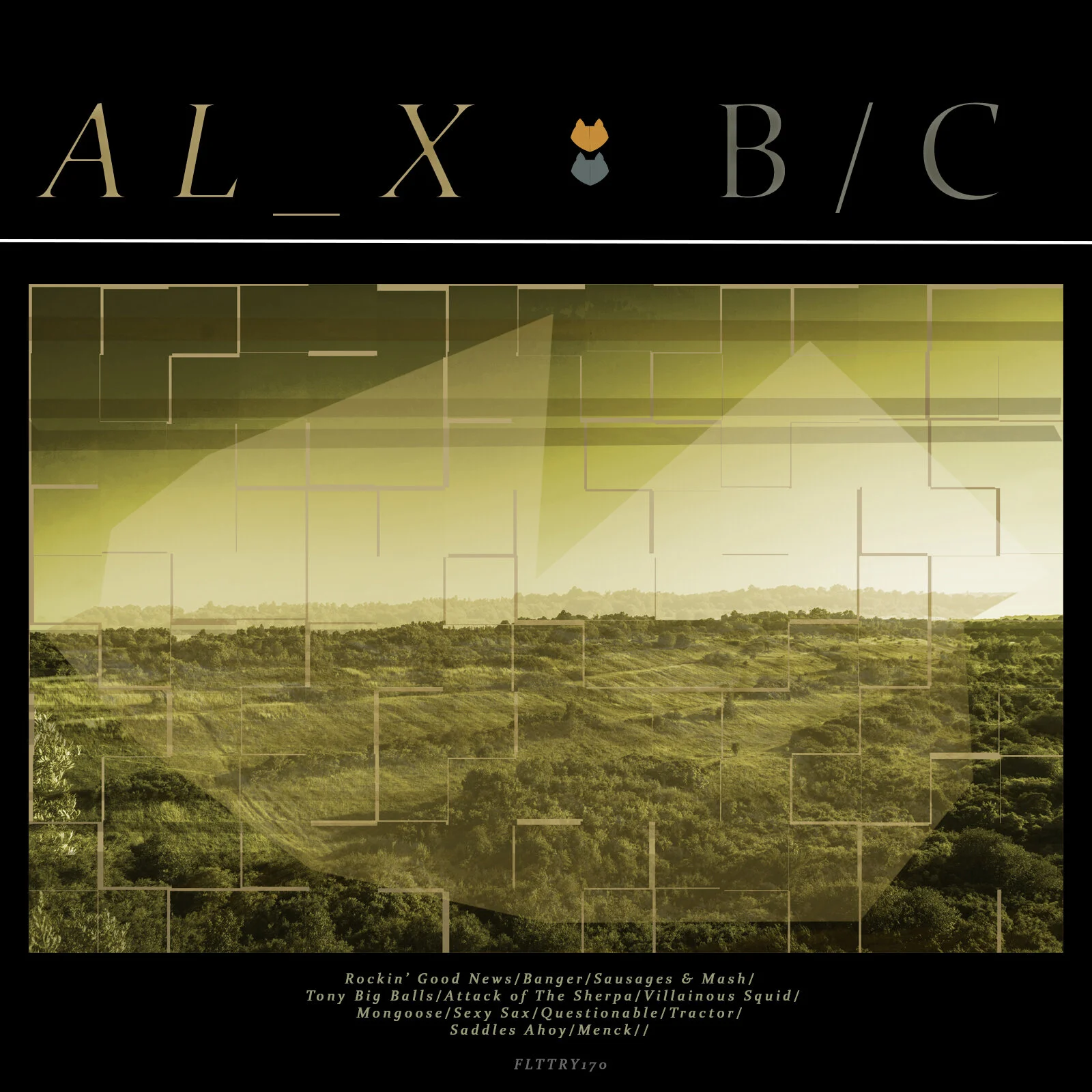 alexcover10.jpg