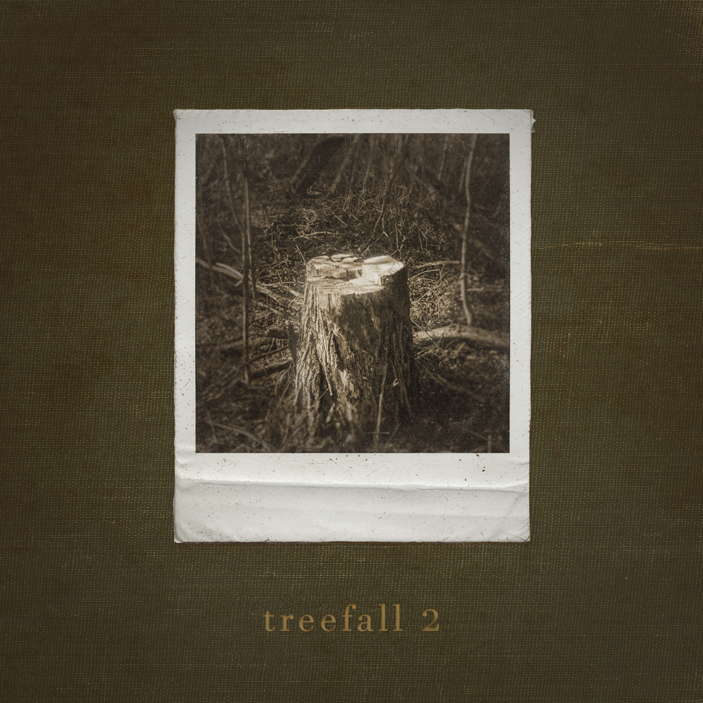 TREEFALL2FRONT.png