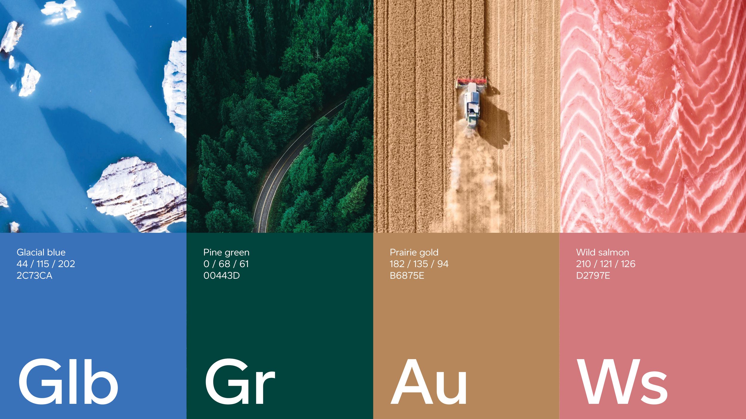 Canada Post brand_05.jpg