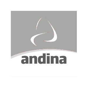 andina-logo.png