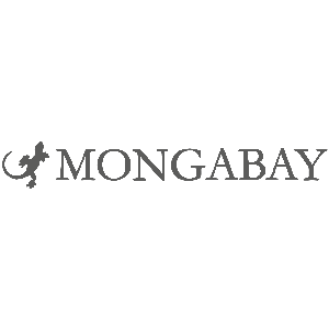 mongabay-render.png